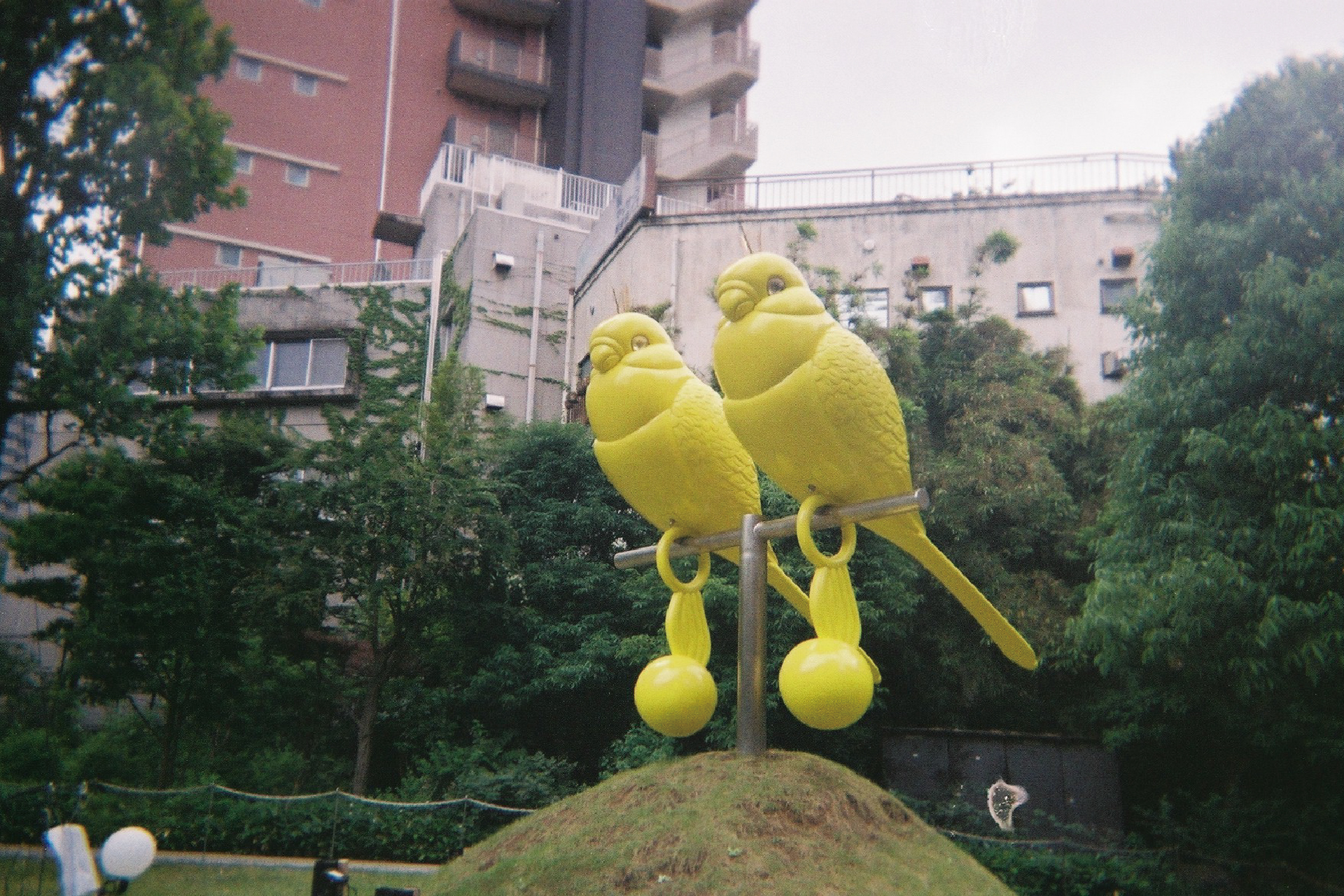 撮影例：ナカバヤシ提供