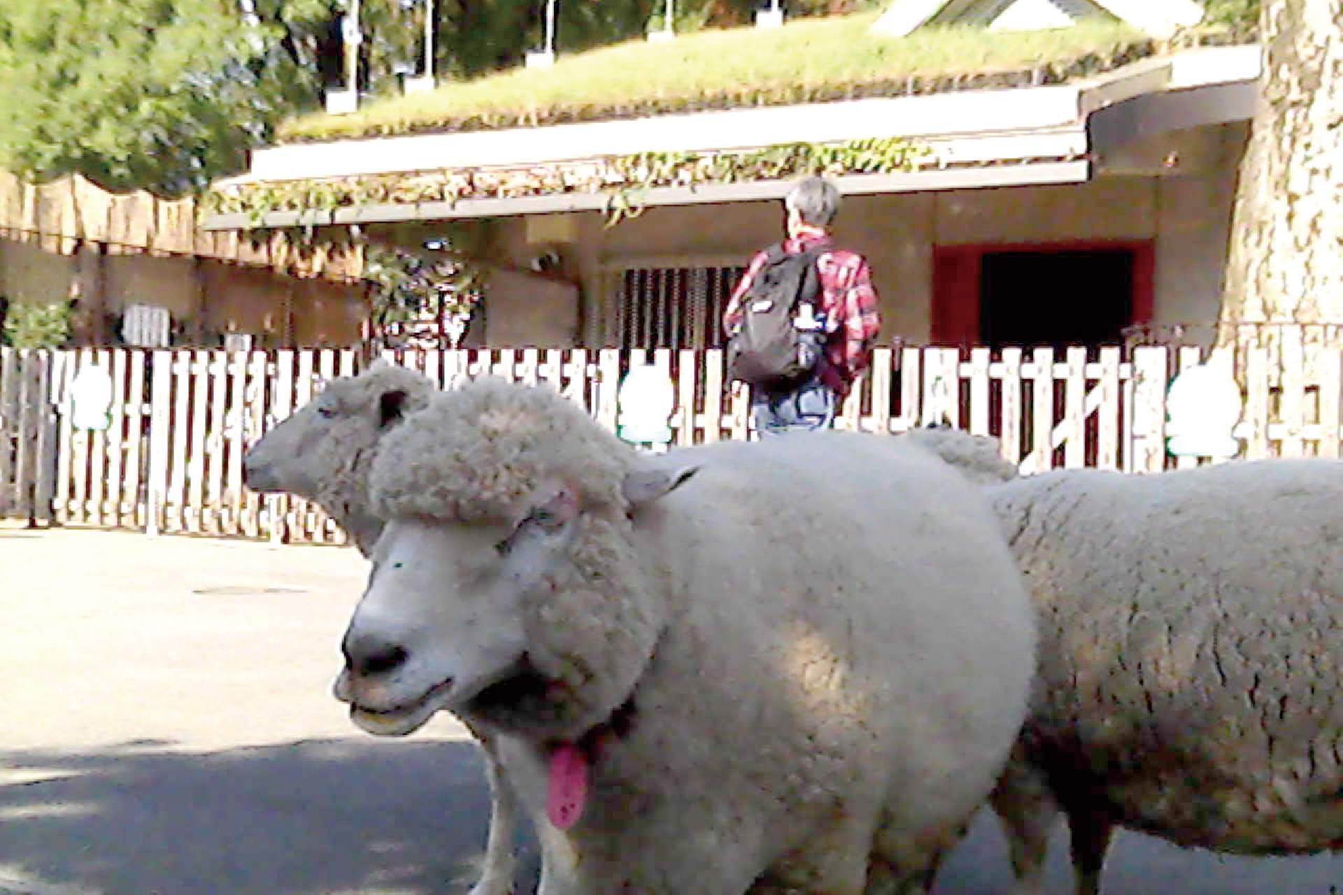 撮影例：ナカバヤシ提供