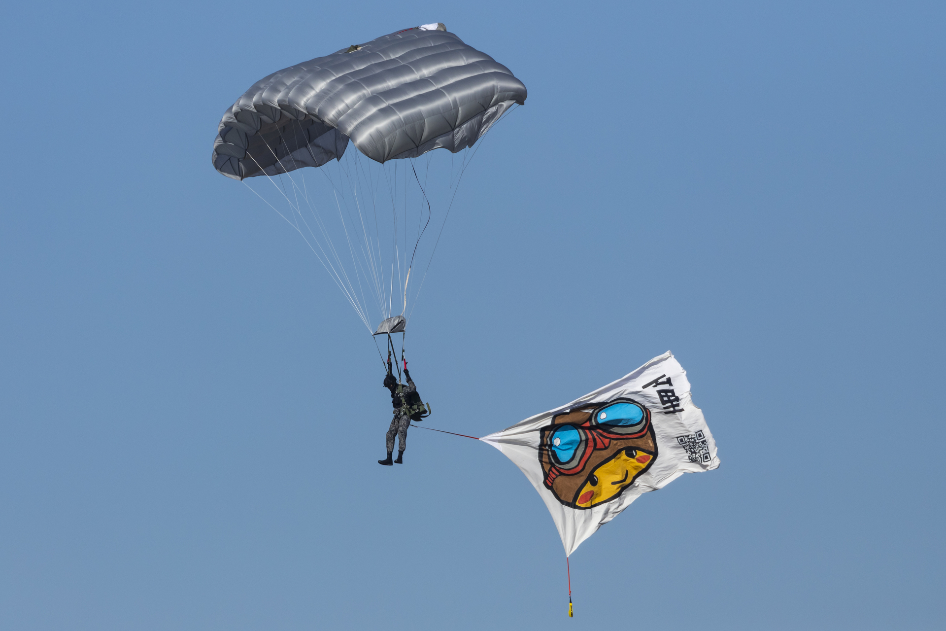 キヤノン EOS 6D Mark II／EF100-400mm f/4.5-5.6L IS II USM +1.4x／490mm／絞り優先AE（1/2,500秒、F8）／ISO 400