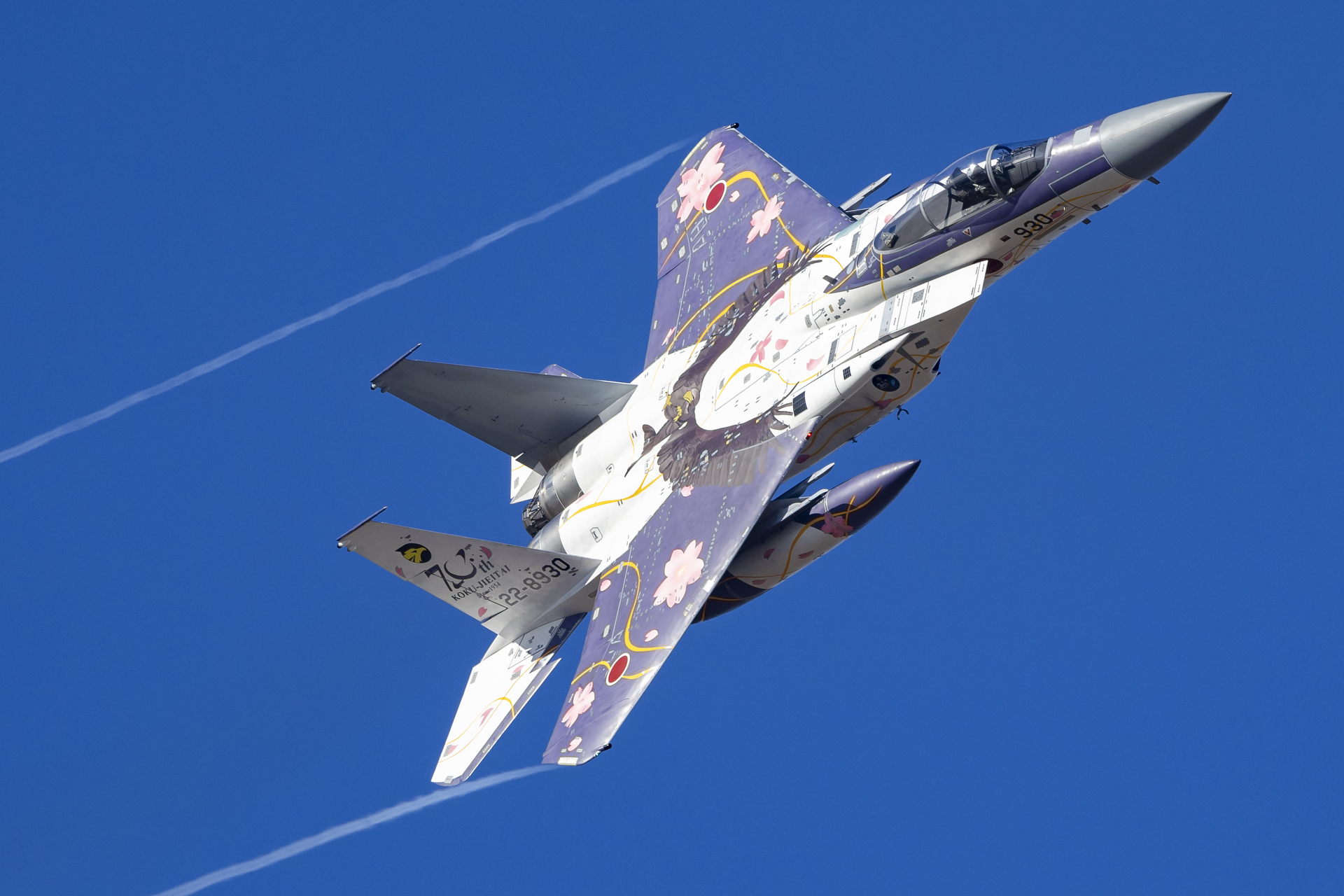 小松基地から飛来した第306飛行隊のF-15、航空自衛隊70周年の記念塗装機による機動飛行。（百里基地航空祭2024にて撮影）<br>キヤノン EOS R6 Mark II／RF100-500mm F4.5-7.1 L IS USM／500mm／Fvモード（1/2,500秒、F8）／ISO 800