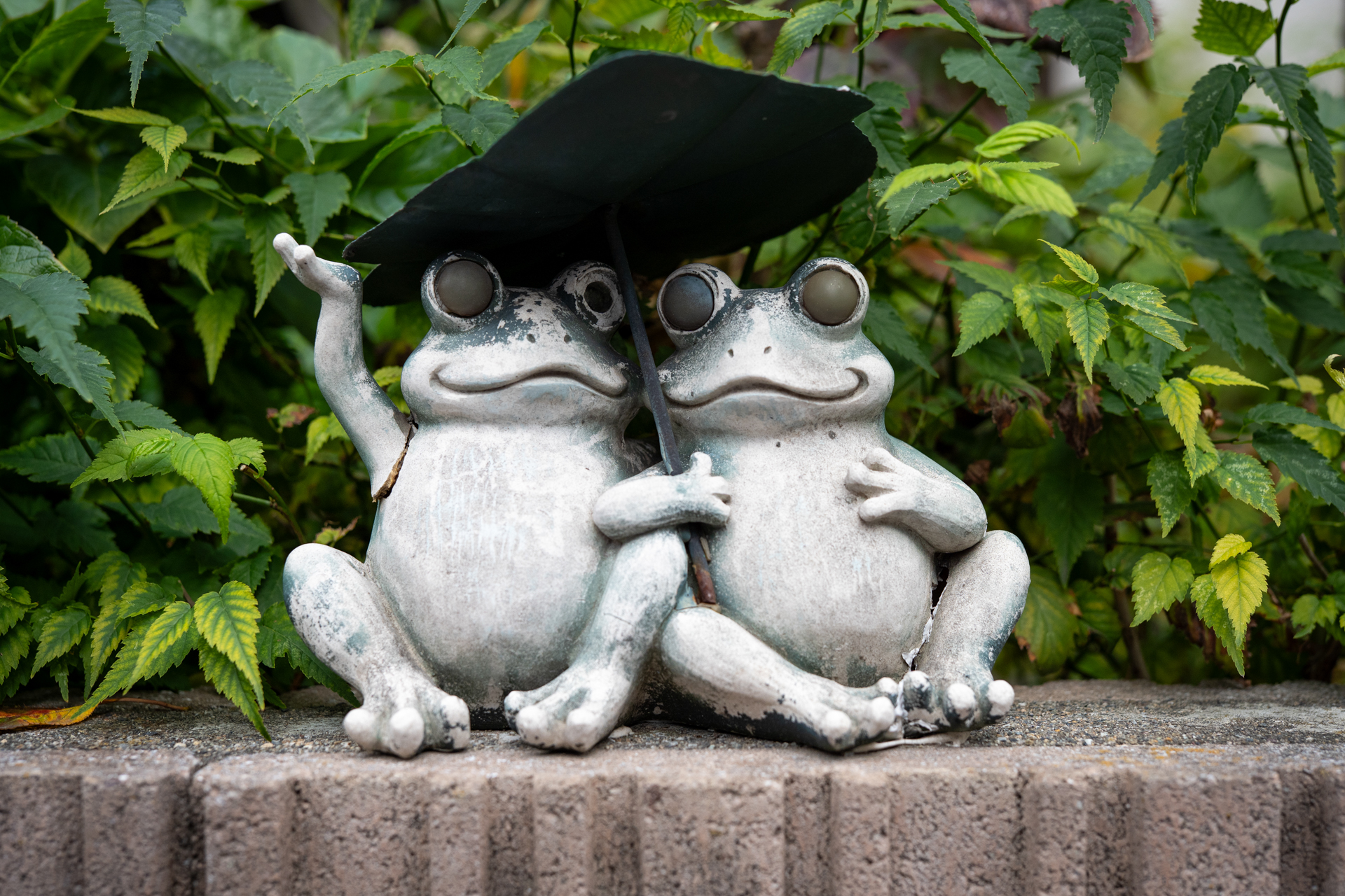 民家の塀の上にあったオブジェです。怖いのは少し壊れた部分があるからでしょうか。<br><span class="fnt-85">LUMIX S5IIX／SIGMA 50mm F1.4 DG HSM｜Art／プログラムAE（1/800秒、F4.0、−0.7EV）／ISO 400</span>