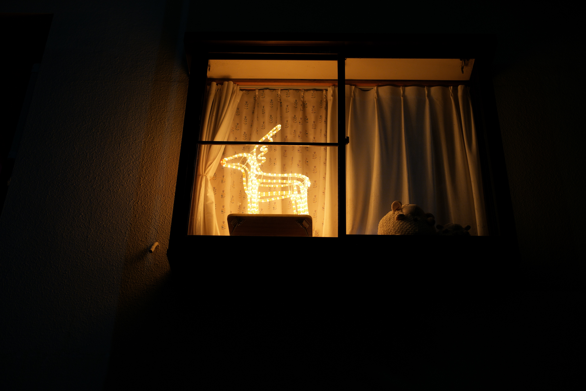 肉眼ではかなり眩しく感じましたが、撮影してみたら良い再現になりました。<br><span class="fnt-85">LUMIX S5IIX／SIGMA 50mm F1.4 DG HSM｜Art／プログラムAE（1/40秒、F2.0、−0.7EV）／ISO 400</span>