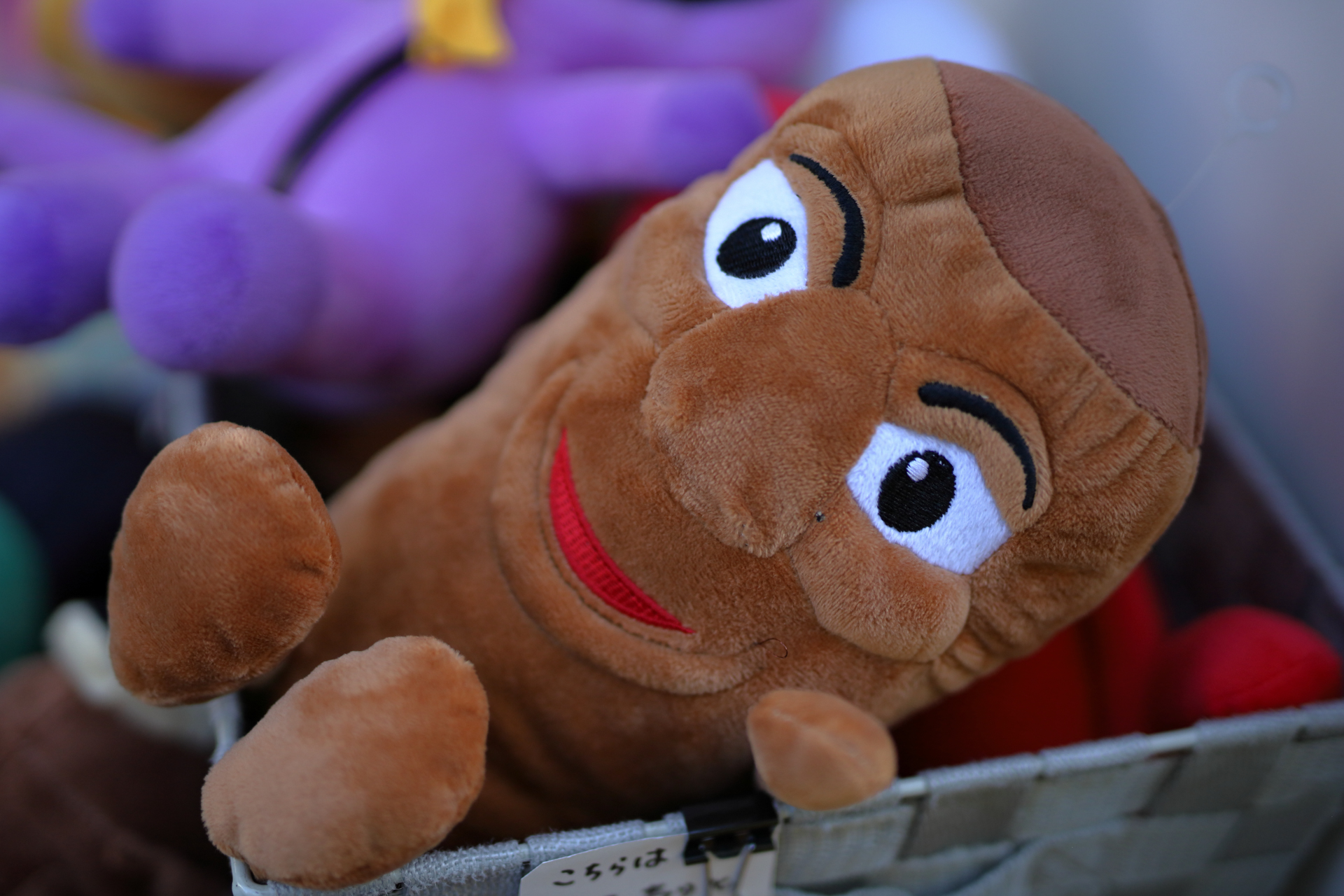 最短撮影距離、開放値での撮影ですが、この条件ではシャープな調子です。<br><span class="fnt-85">EOS RP／SIGMA 50mm F1.4 DG HSM｜Art／絞り優先AE（1/3,200秒、F1.6、−0.7EV）／ISO 400</span>