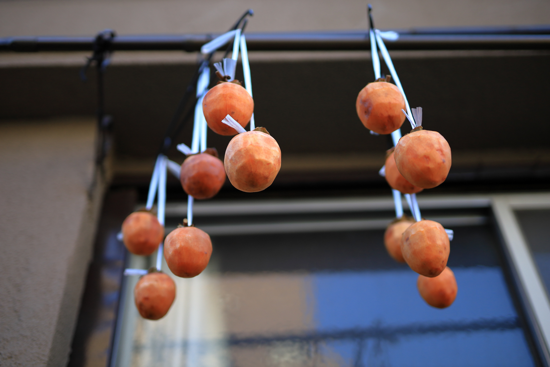 立体感などという言葉はおこがましい感じもしますけど、合焦点とそのほかの柿の雰囲気のバランスがいいですね。ボケにまったくクセがありません。<br><span class="fnt-85">EOS RP／SIGMA 50mm F1.4 DG HSM｜Art／絞り優先AE（1/2,000秒、F1.4、−0.7EV）／ISO 400</span>