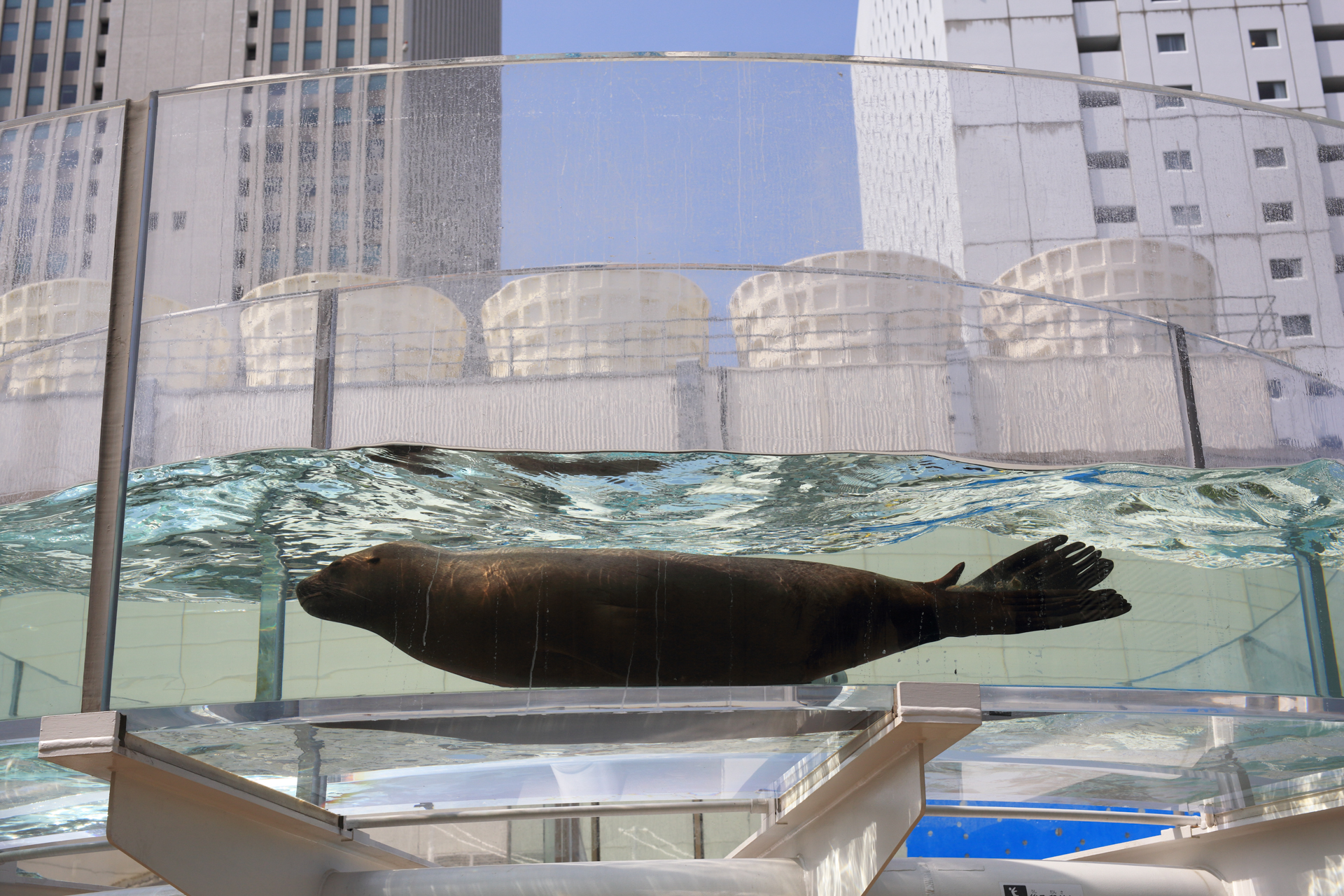 EOS 5D MarkIIIできっちり絞り込んで撮影しています。均質性の高い見事な描写です。<br><span class="fnt-85">EOS 5D Mark III／SIGMA 50mm F1.4 DG HSM｜Art／絞り優先AE（1/800秒、F8.0、±0.0EV）／ISO 200</span>