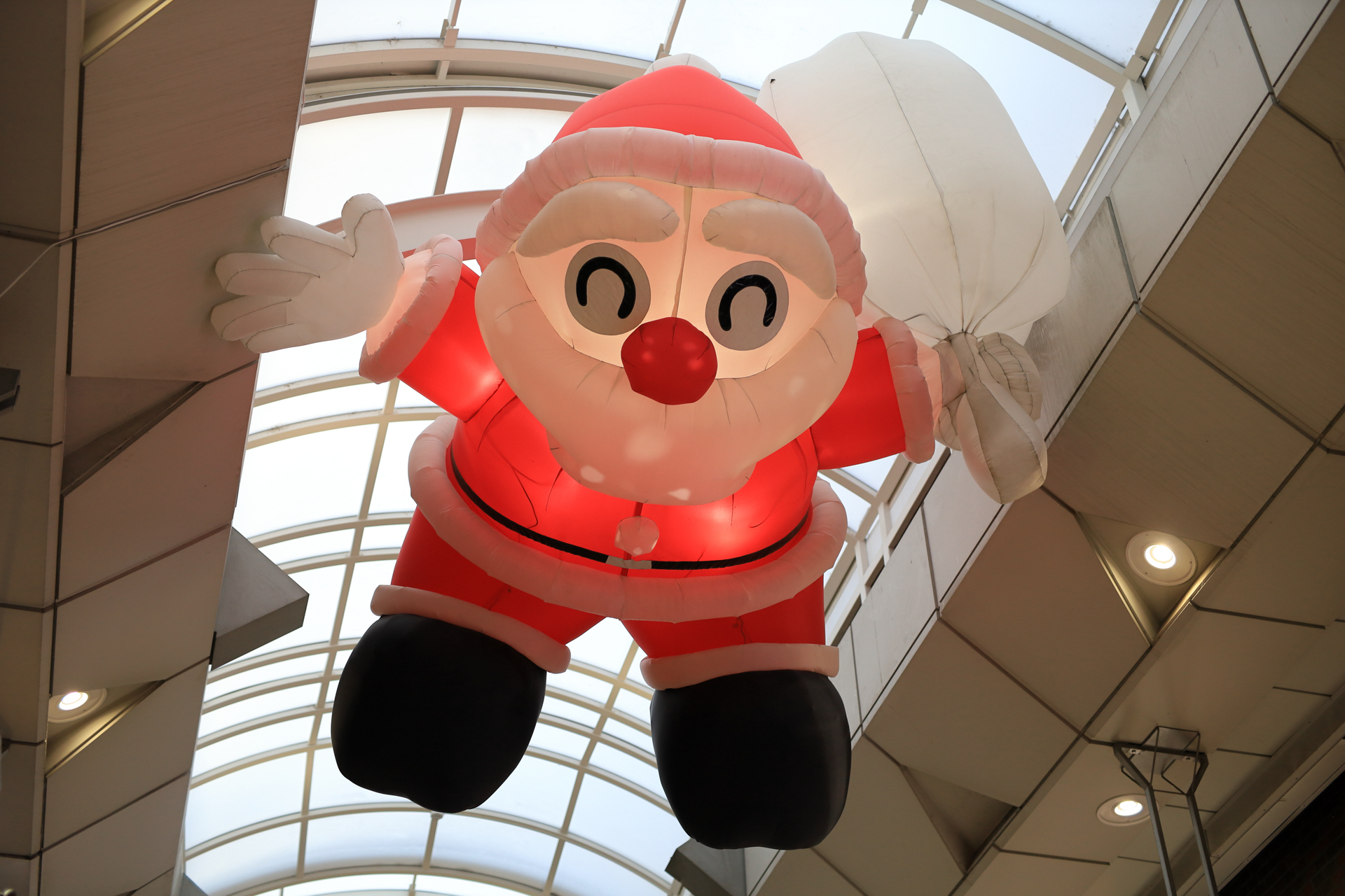 背景の明るさに影響されず、階調は良い感じに再現されています。これ見た目通りの色に再現されています。<br><span class="fnt-85">EOS RP／SIGMA 50mm F1.4 DG HSM｜Art／絞り優先AE（1/400秒、F2.0、±0.0EV）／ISO 400</span>