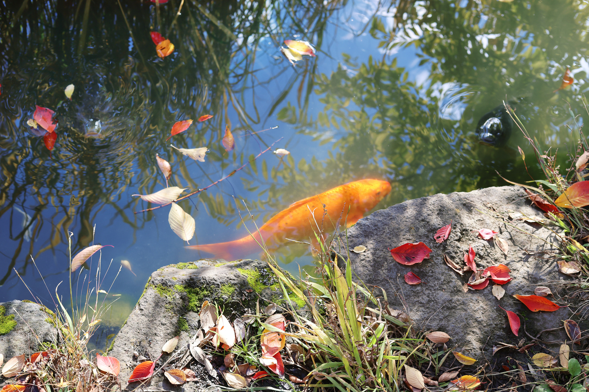 撮影：水島貴大<br><span class="fnt-85">キヤノン EOS R6 Mark III／RF45mm F1.2 STM／プログラムAE（1/250秒、F5.6）／ISO 400</span>