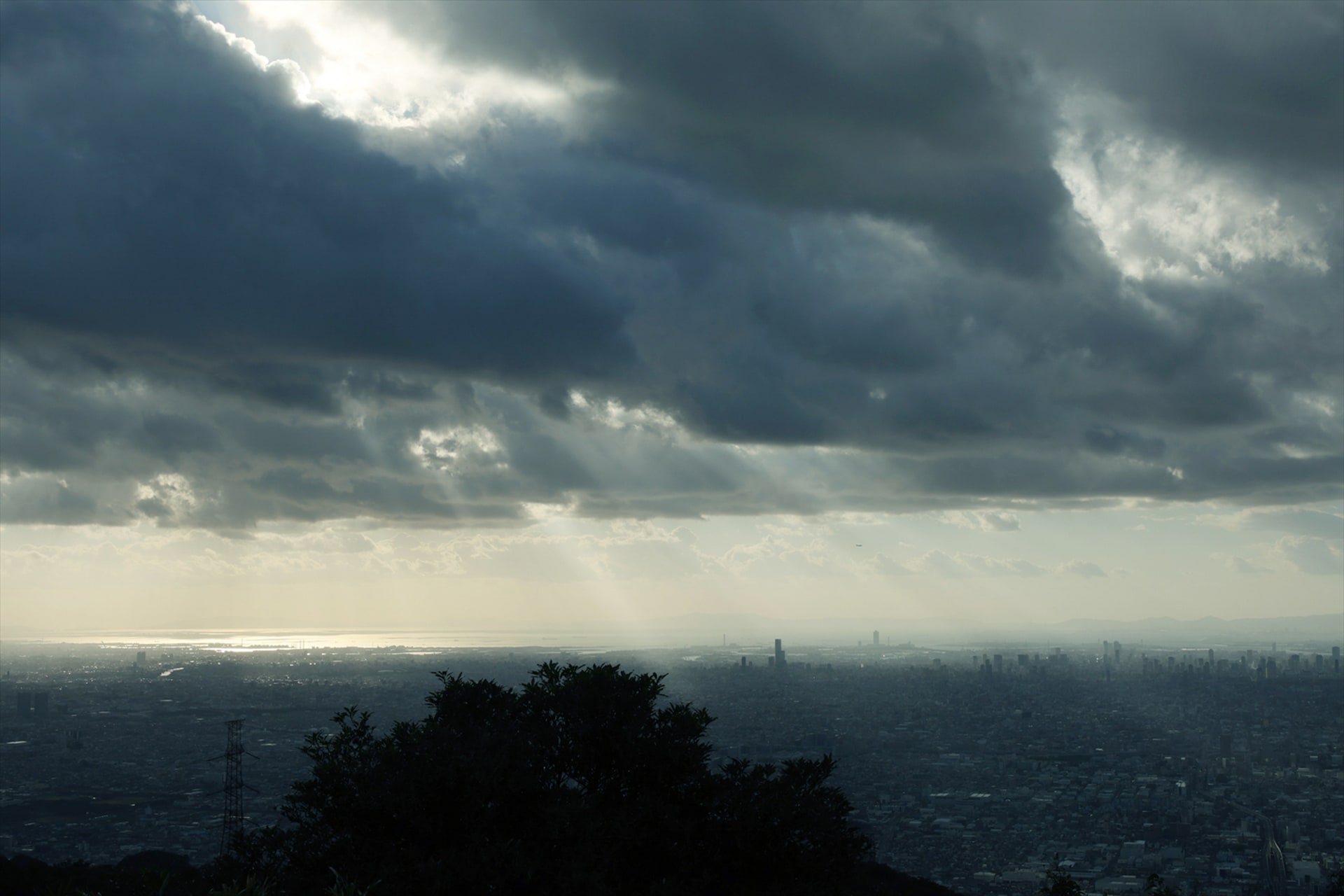 撮影：鈴木さや香<br><span class="fnt-85">キヤノン EOS R8／RF45mm F1.2 STM／マニュアル露出（1/400秒、F16）／ISO 200</span>