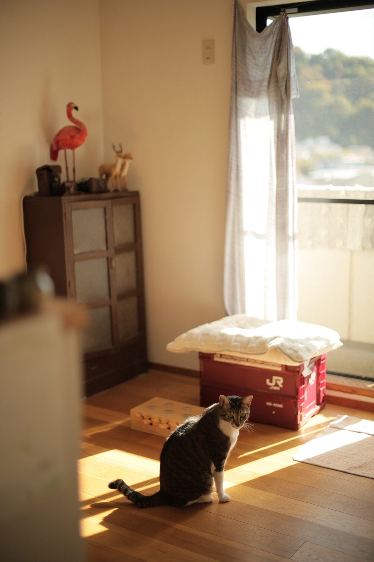 撮影：鈴木さや香<br><span class="fnt-85">キヤノン EOS R8／RF45mm F1.2 STM／マニュアル露出（1/1,000秒、F1.2）／ISO 250</span>