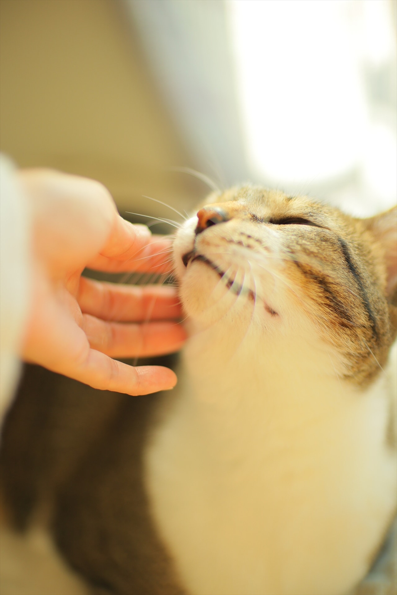 撮影：鈴木さや香<br><span class="fnt-85">キヤノン EOS R8／RF45mm F1.2 STM／マニュアル露出（1/1,000秒、F1.2）／ISO 400</span>