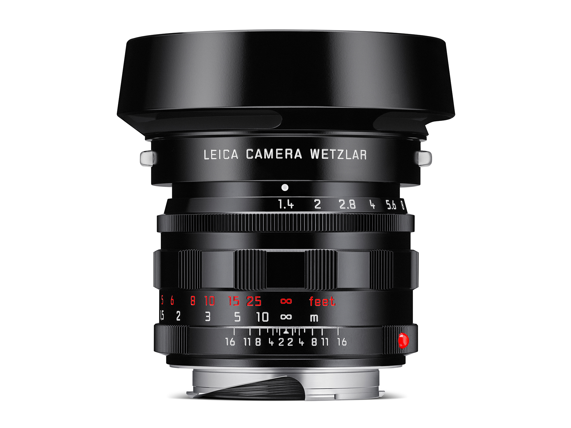 フード装着イメージ