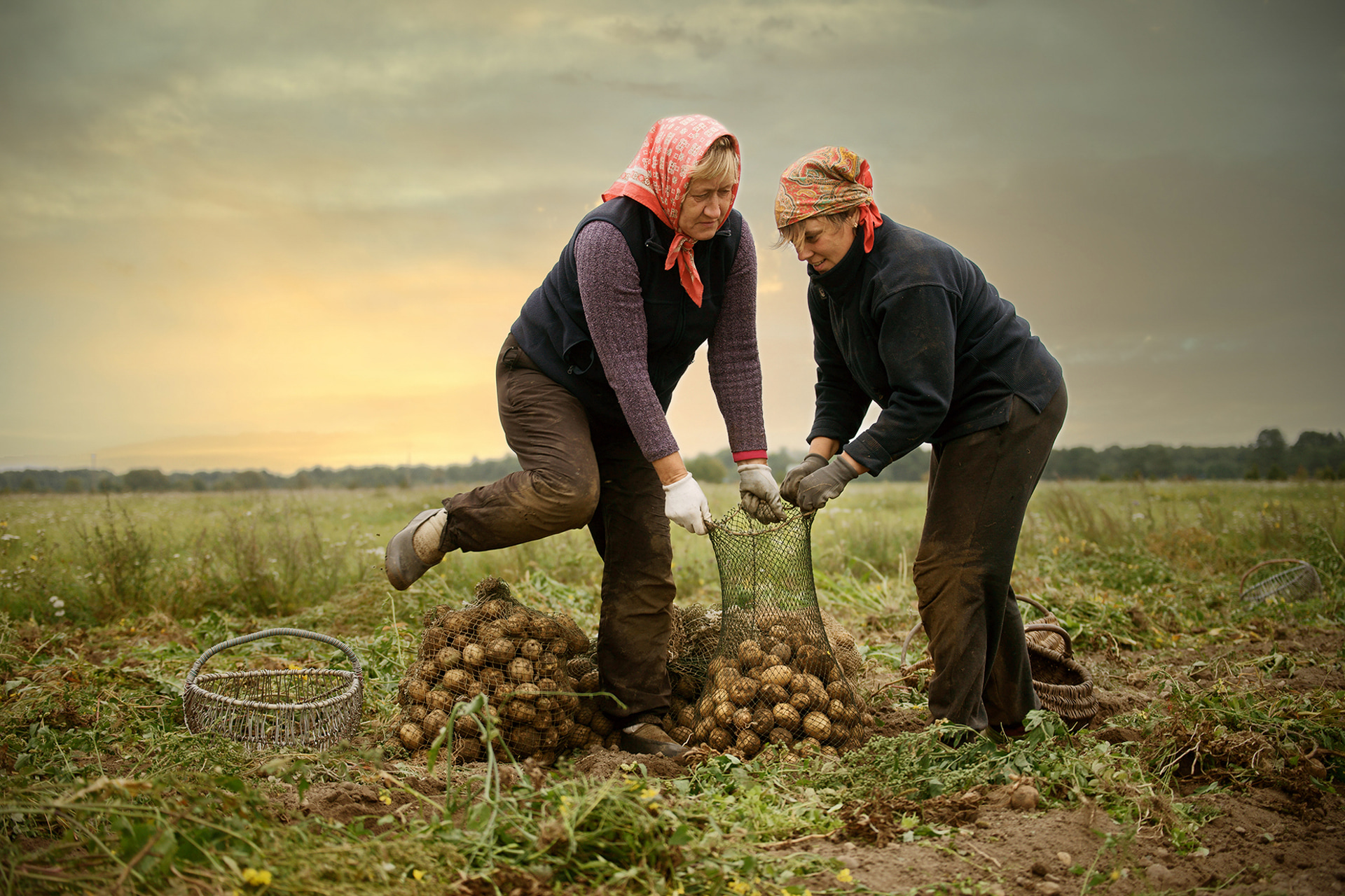撮影時の雰囲気を損なわない方向で編集した結果、白とびしかけていた空がイメージ通りに再現できました。非常に自然で、とても置換した空とは思えません