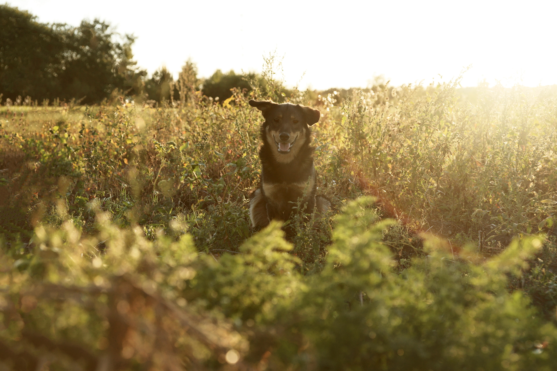 がんばってここまで消去。それでも滲みや歪み、コピペ感が出てしまい、少し不自然さを感じます