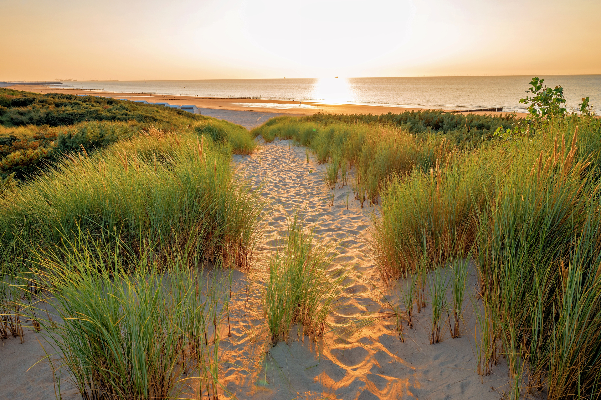 提供：株式会社焦点工房