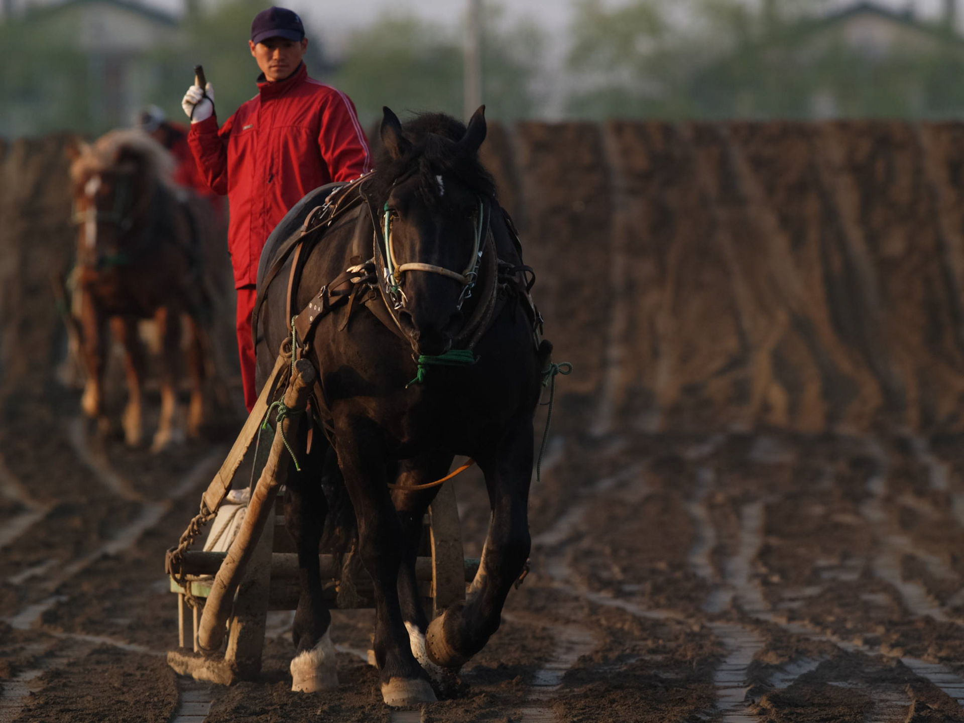 鈴木恵介騎手（2006年撮影）