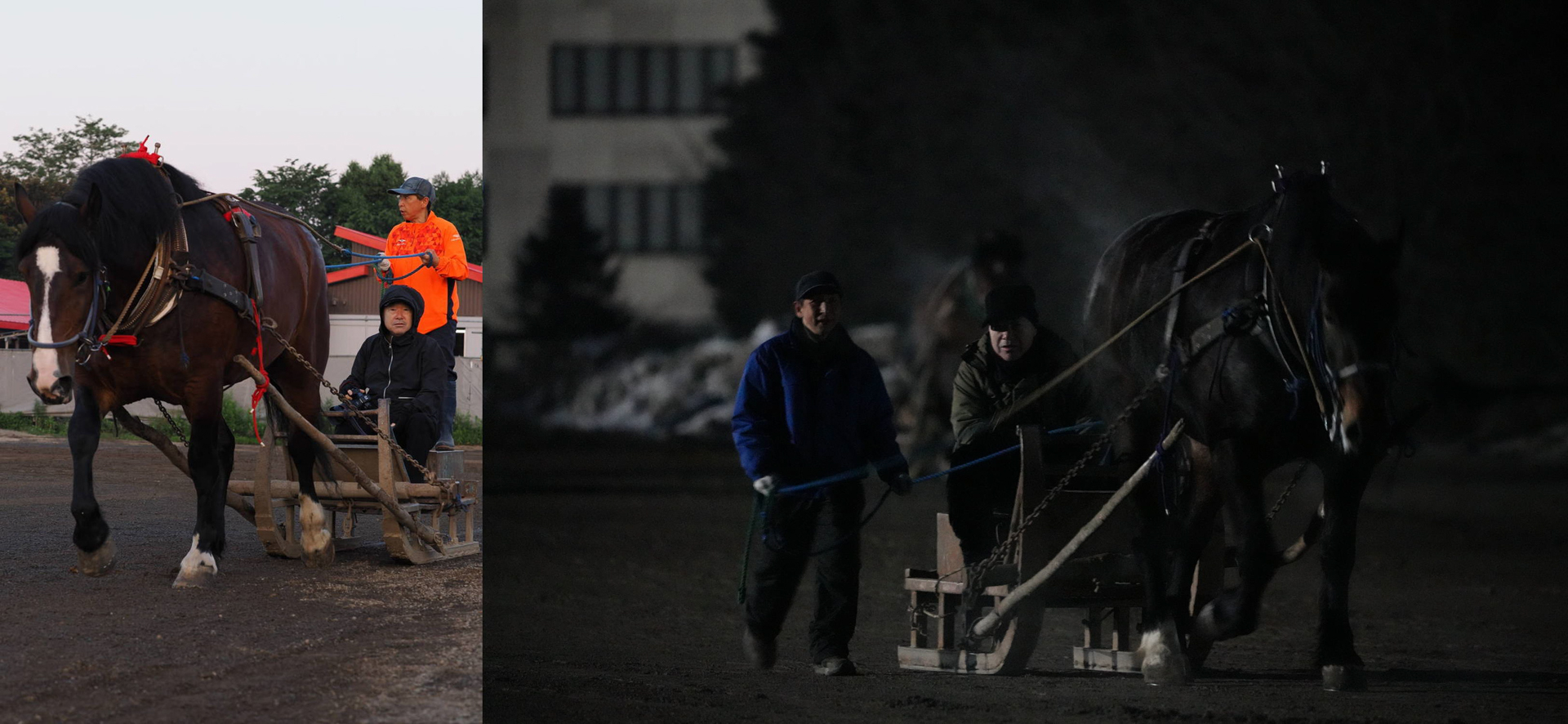 ソリに乗せてくれ、いつもいろんなことを教えてくれる谷あゆみ調教師