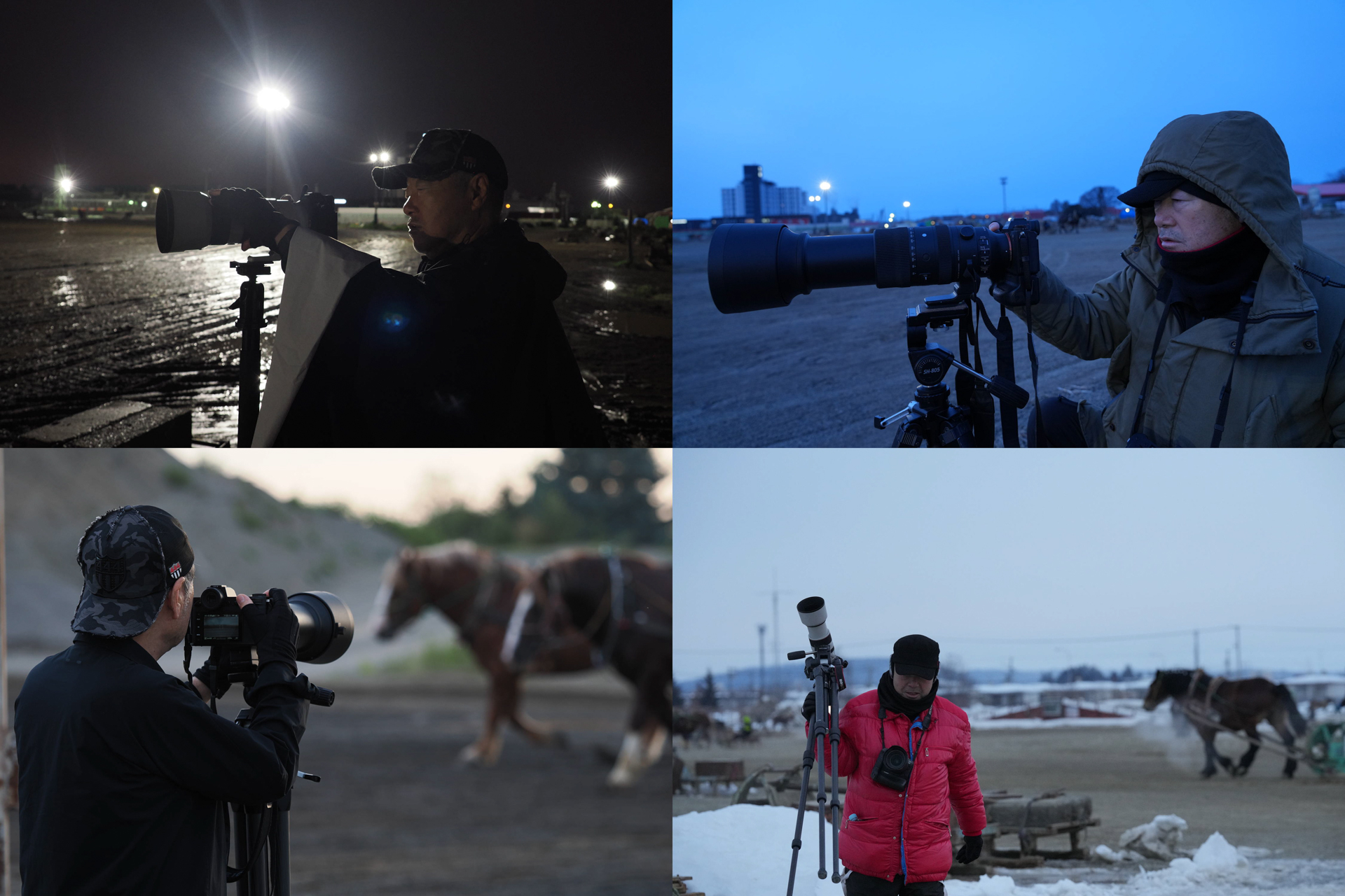 朝調教の撮影風景