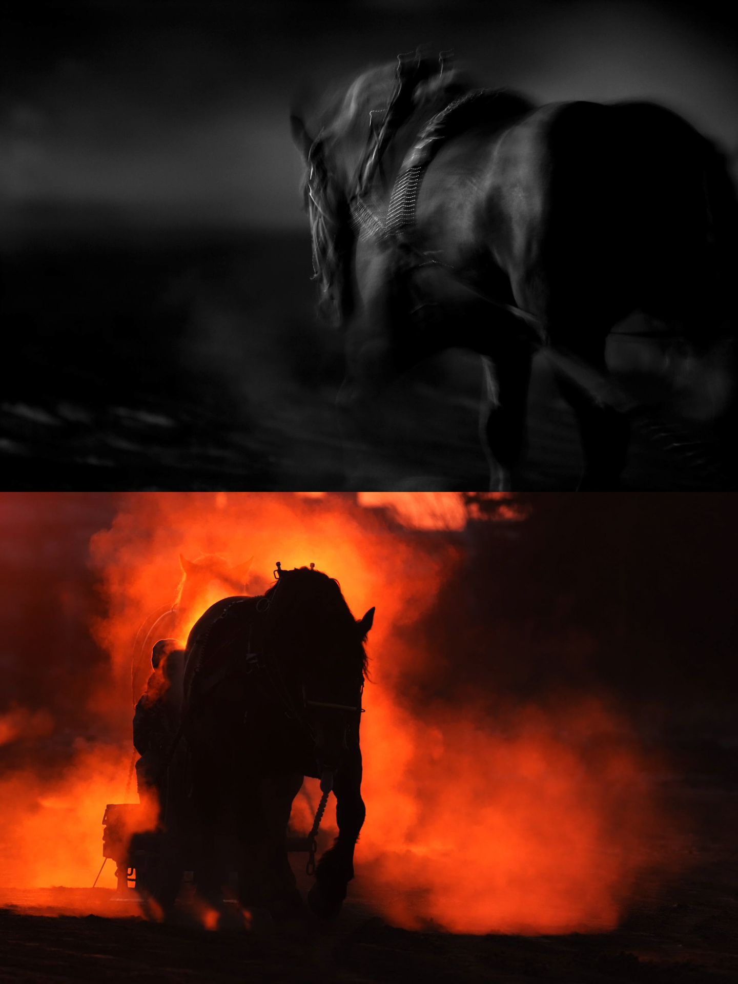 ばんえい競馬 朝調教、お気に入りの2枚