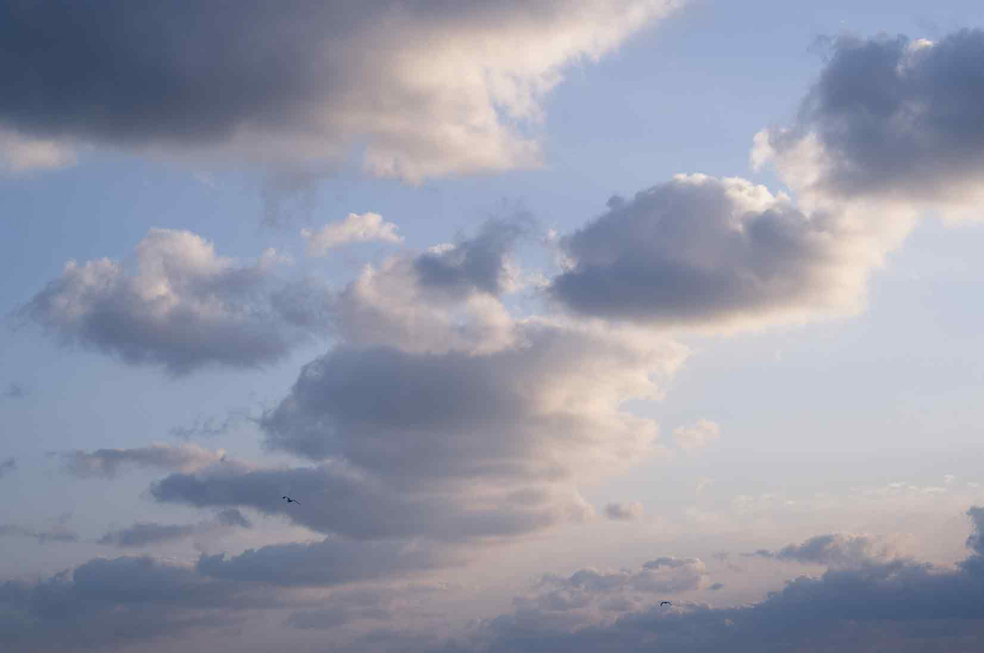 朝日を受けて雲がやわらかくほどけていく。遠くからウミドリがやって来て、新しい1日が静かに息をし始めるような景色。まだ浅くてほのかな色づきの空に浮かび上がる立体感はライカMシステムならではの描写だ。薄明かりに照らされる被写体の描かれ方が好みだと思った<br><span class="fnt-85">ライカM EV1／ライカ ズミルックスM f1.4/50mm ASPH.／50mm／マニュアル露出（F4.8、 1/500秒）／ISO 64／WB：白熱灯</span>