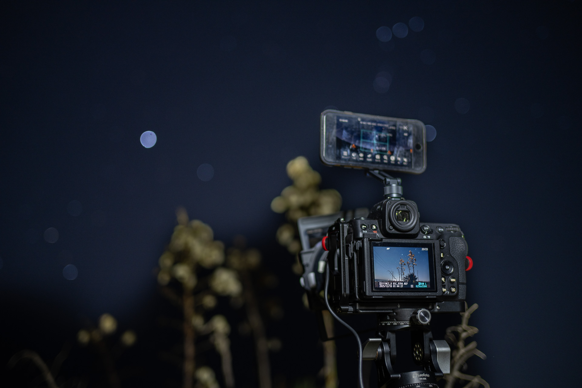 Skysafari7の画角表示を参考にしながら構図を決める