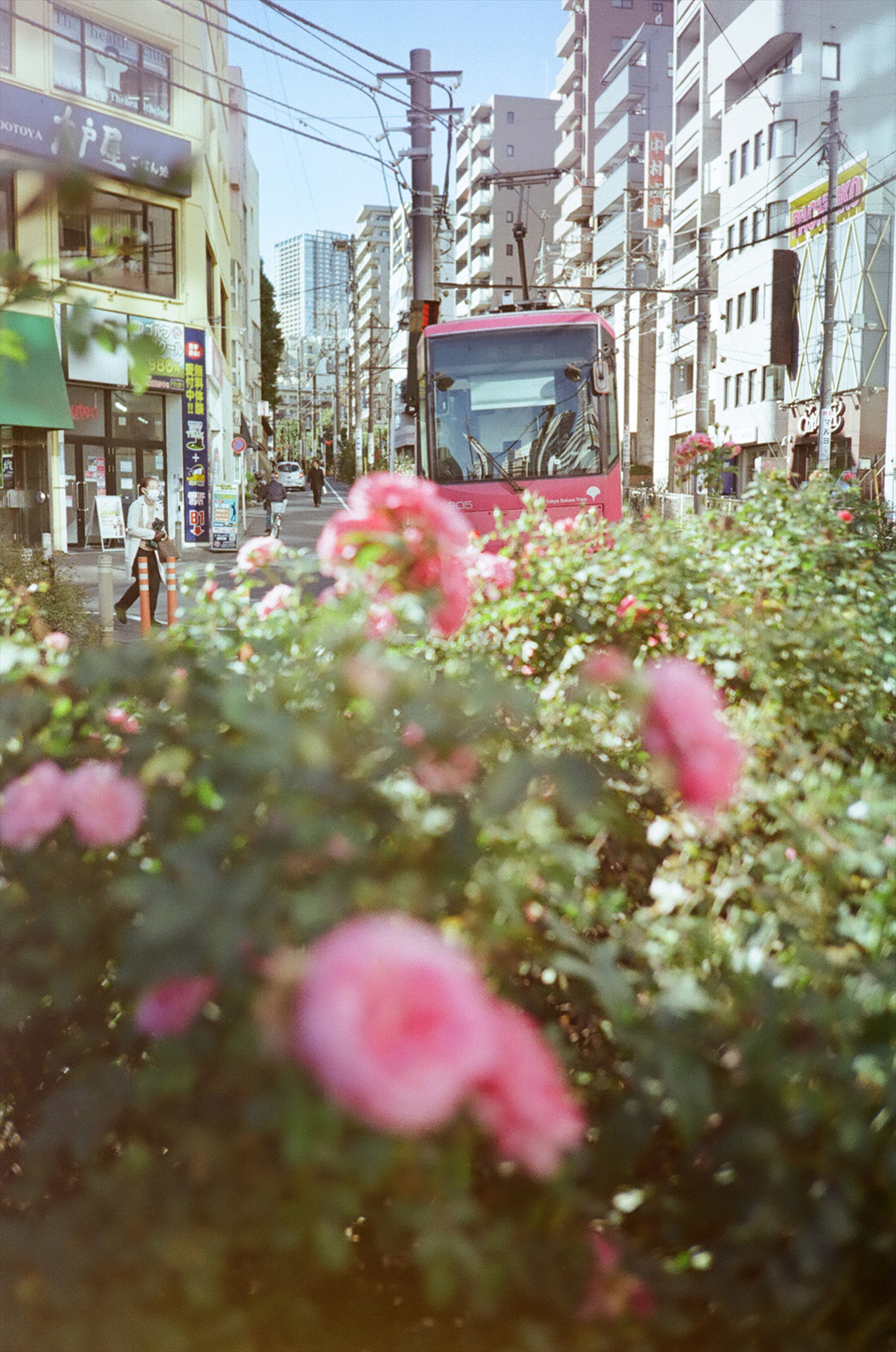 前ボケもなかなか良い雰囲気です<br>フィルム：Kodak Gold 200