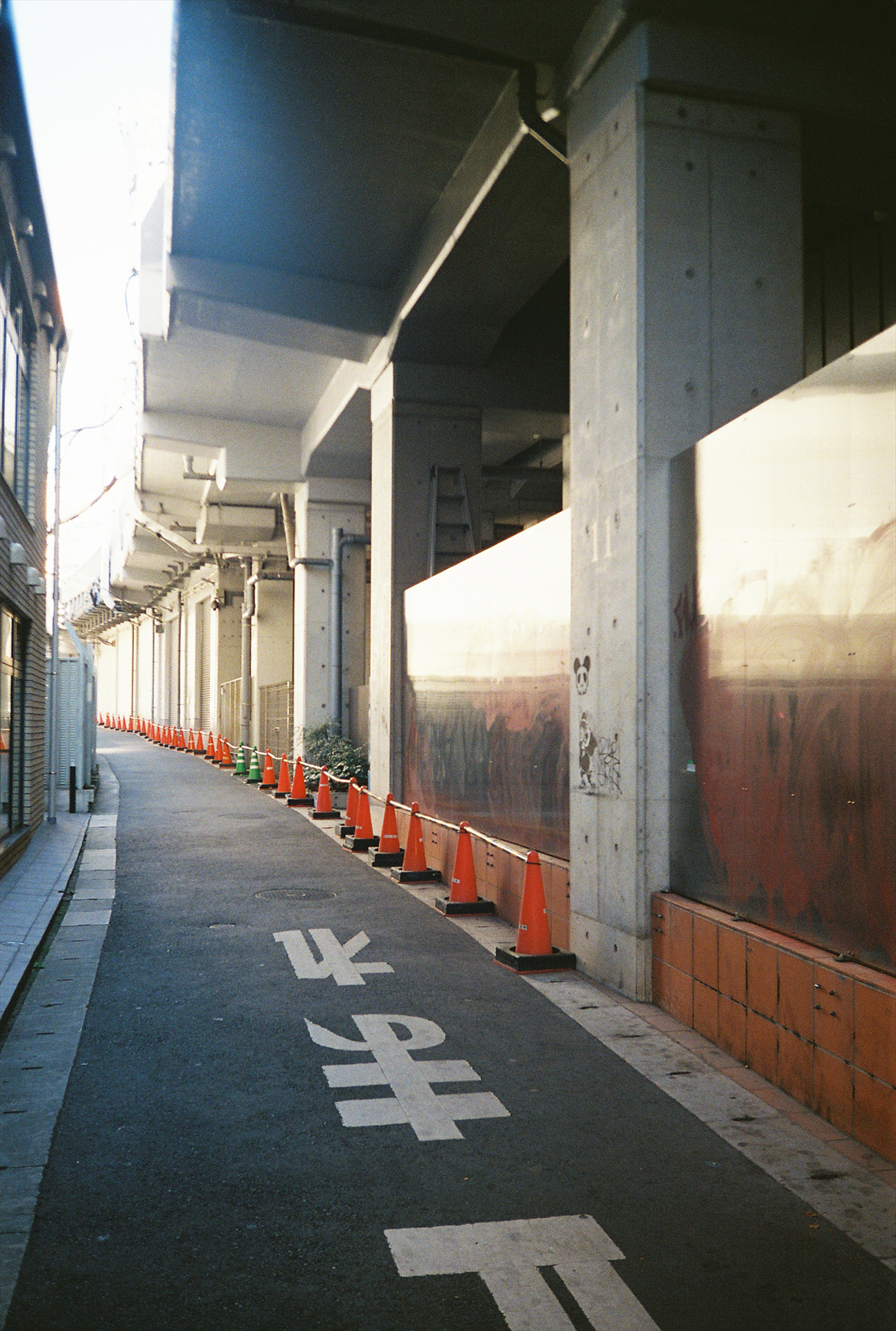 フィルム：Lomography Color Negative 100
