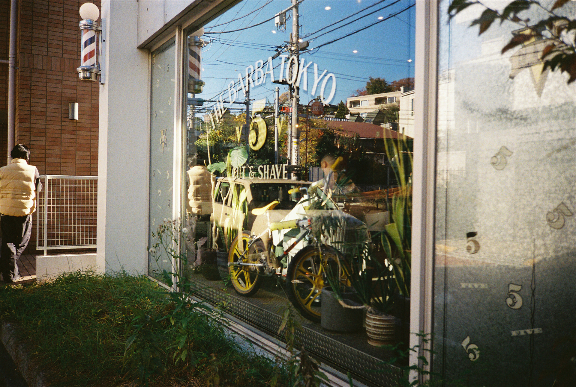 フィルム：Lomography Color Negative 100