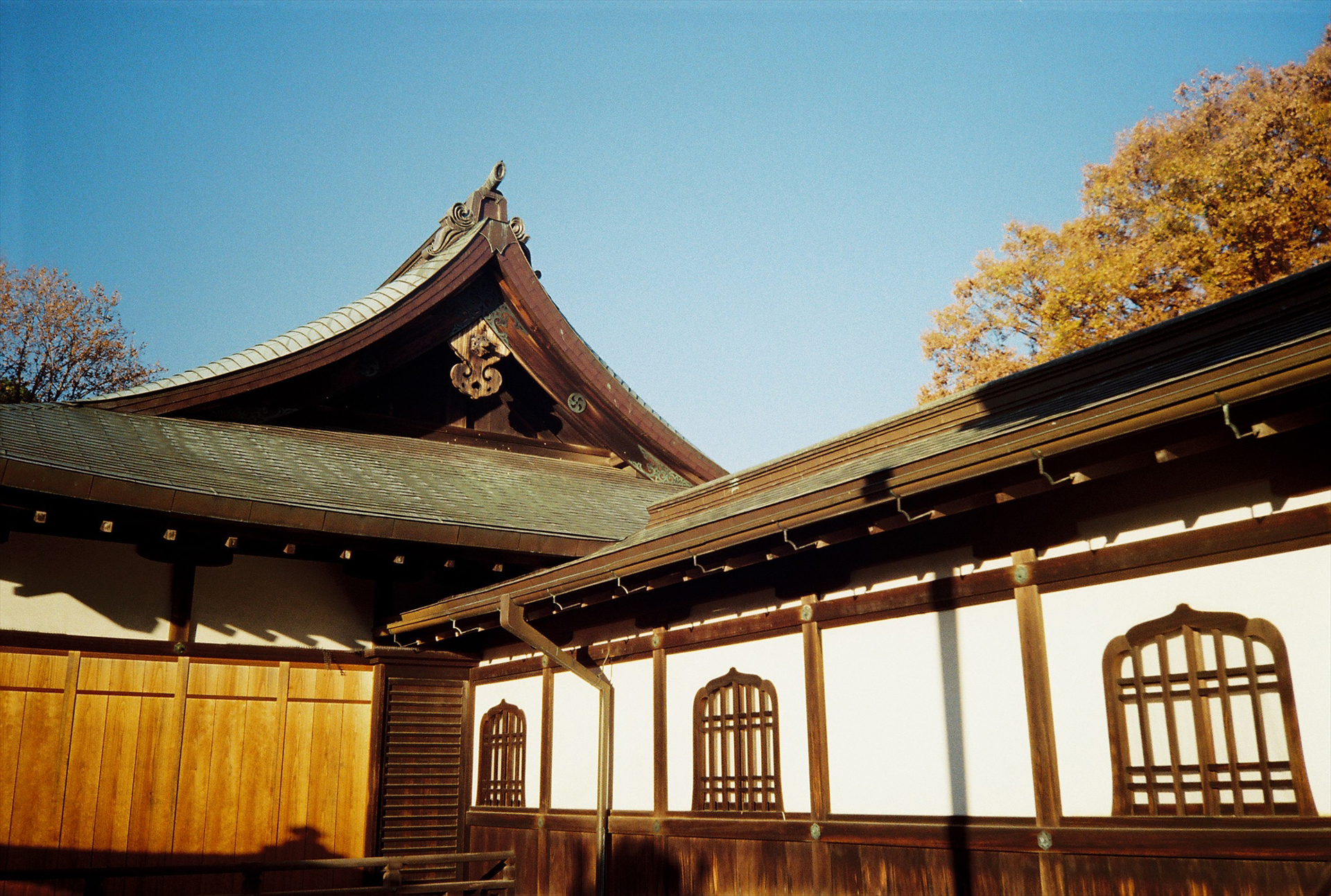 順光で青空を写すとビネット効果が感じられます<br>ゾーンフォーカス∞／絞り優先AE（F8、SSオート）／フィルム：Lomography Color Negative 400