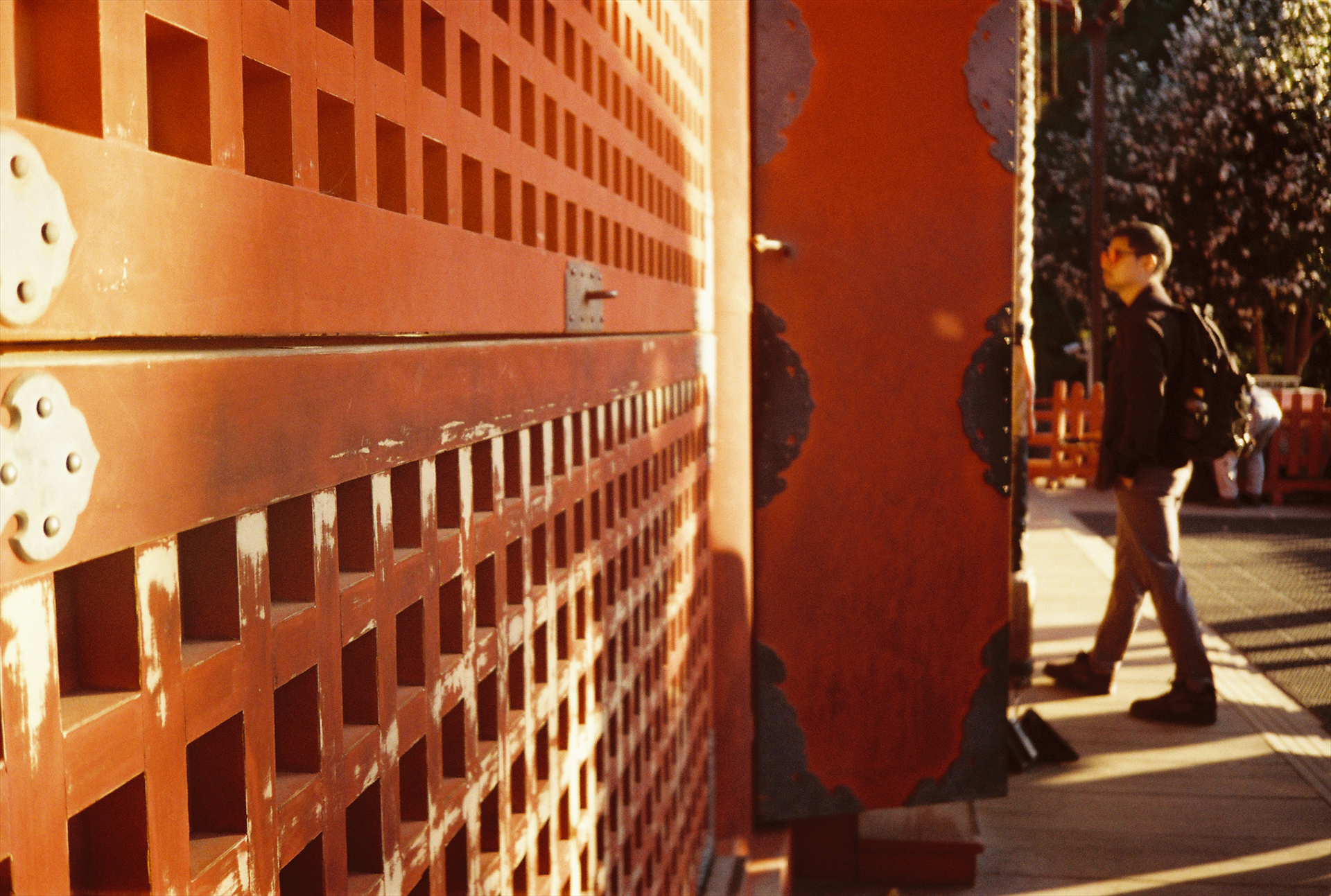 ゾーンフォーカス0.8m／絞り優先AE（F5.6、SSオート）／フィルム：Lomography Color Negative 400