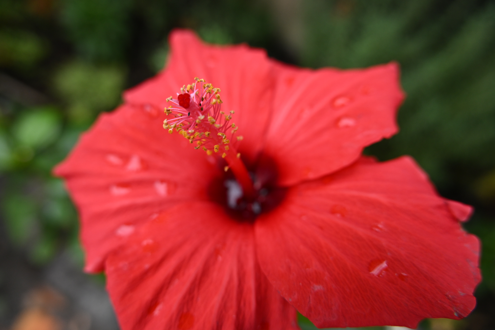 ニコン Z50II／NIKKOR Z DX 16-50mm f/2.8 VR／16mm（24mm相当）／絞り優先AE（1/400秒、F4.0、＋0.7EV）／ISO 400