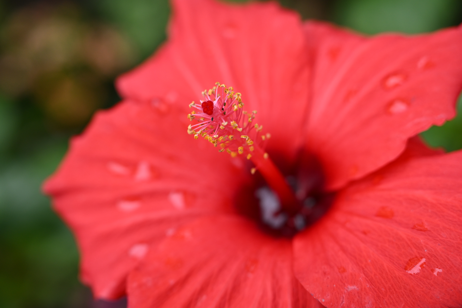 ニコン Z50II／NIKKOR Z DX 16-50mm f/2.8 VR／50mm（75mm相当）／絞り優先AE（1/400秒、F4.0、＋0.7EV）／ISO 400