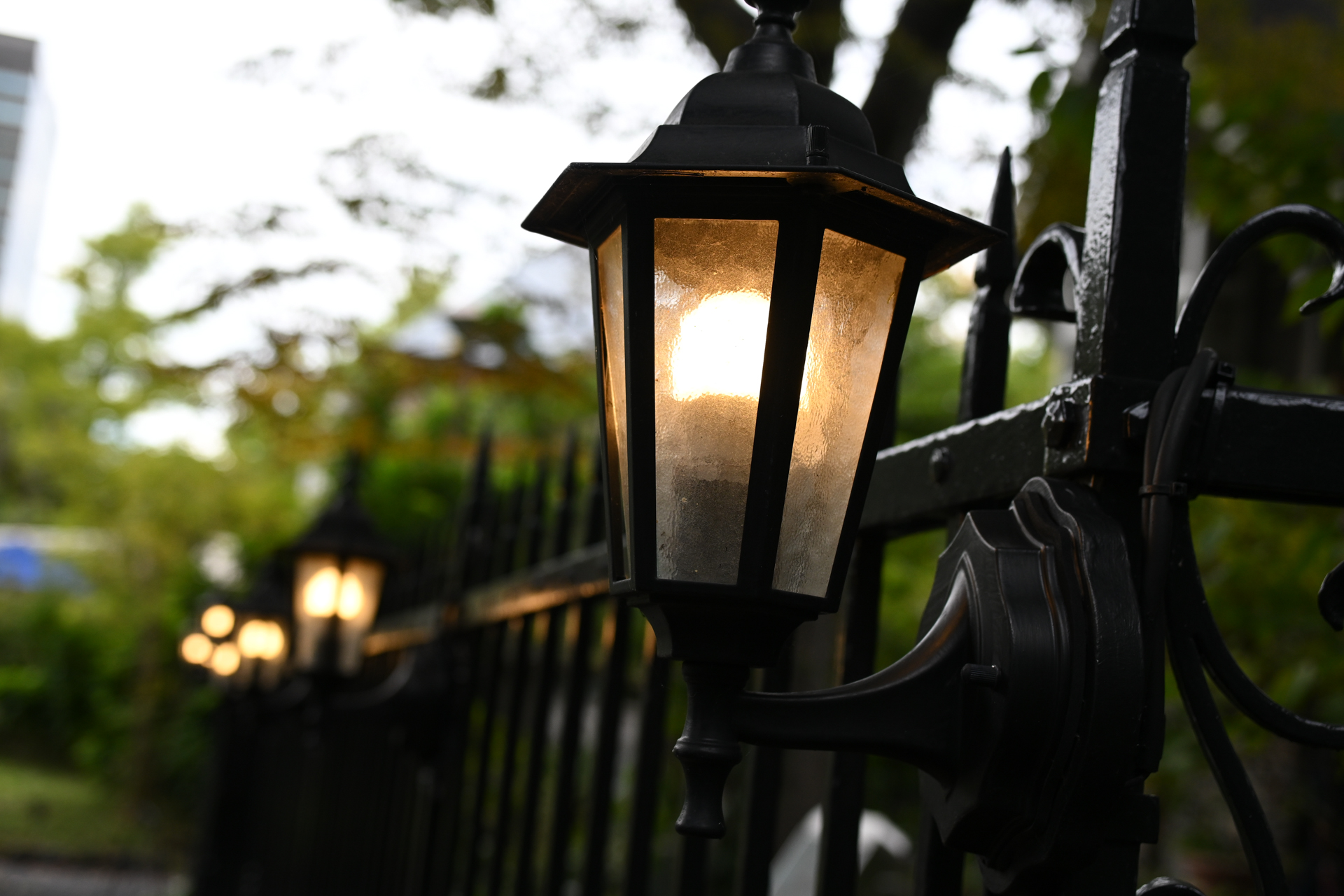 ニコン Z50II／NIKKOR Z DX 16-50mm f/2.8 VR／50mm（75mm相当）／絞り優先AE（1/800秒、F3.5、＋1EV）／ISO 400