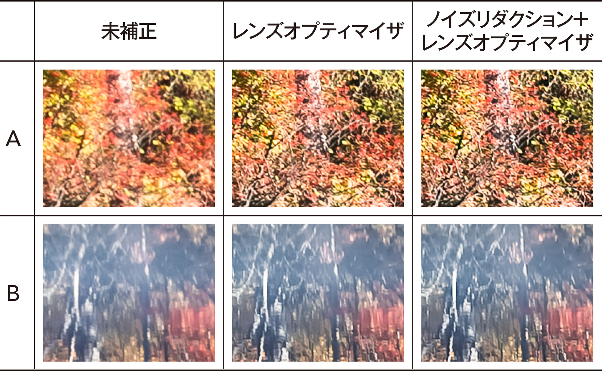 レンズオプティマイザはノイズを増やさず解像感を上げることができるが、写真にノイズが残っているとその効果が弱くなる。レンズオプティマイザを使う場合は、同時にノイズリダクションも適用するとより効果が増す