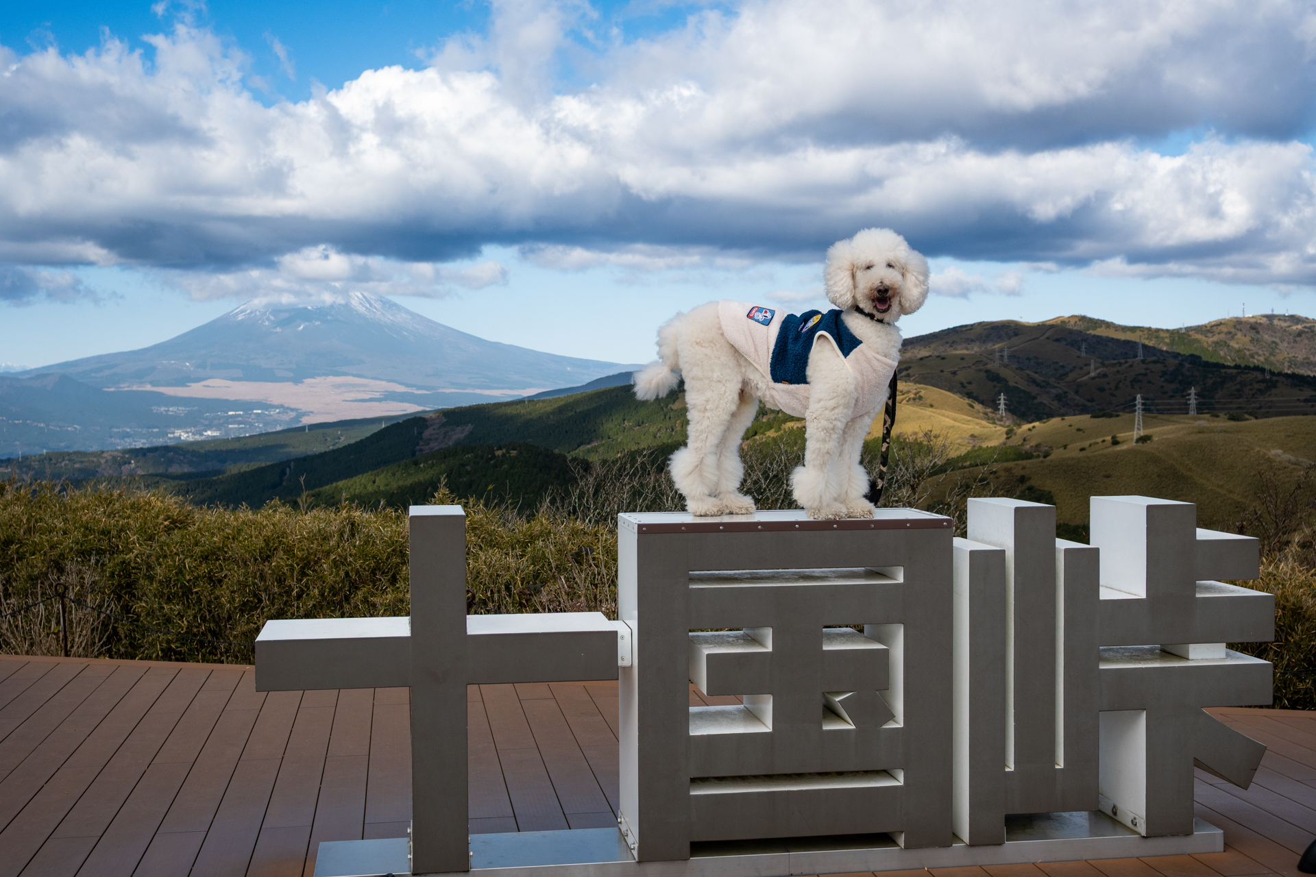 自分の感覚ですとZ50IIでは28mmでは少し狭い視角だと思うのですが、自分自身が動き、がんばって練習し克服しています。<br><span class="fnt-85">ニコン Z50II／NIKKOR Z 28mm f/2.8（SE）／28mm（42mm相当）／絞り優先AE（1/1,250秒、F5.6、−0.7EV）／ISO 200</span>