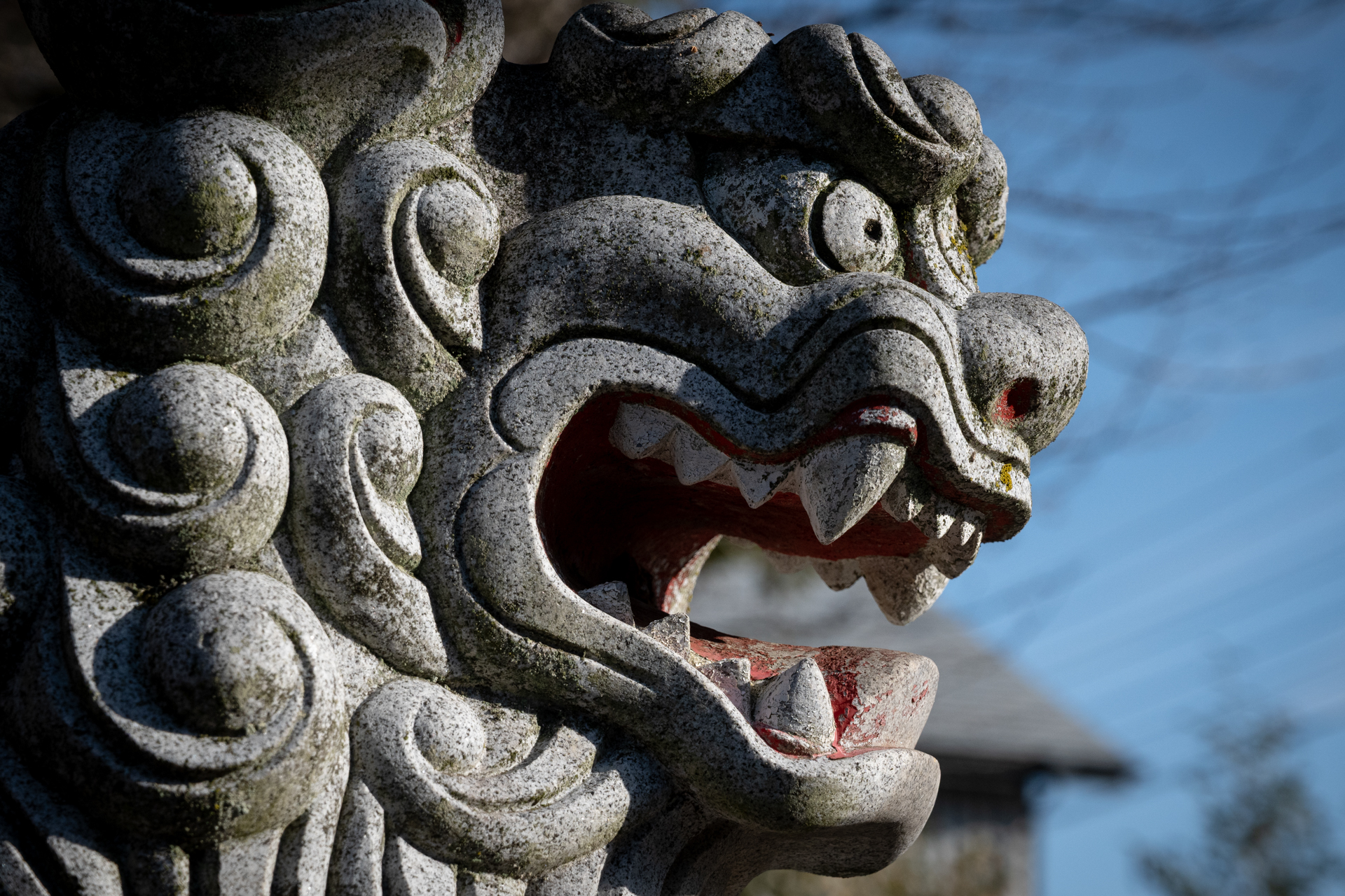 現実にはいない生き物であっても、きちっと目玉に合焦しますね。さすがです。<br><span class="fnt-85">ニコン Z50II／NIKKOR Z 24-70mm f/4 S／70mm（105mm相当）／プログラムAE（1/4,000秒、F5.6、−1EV）／ISO 400</span>