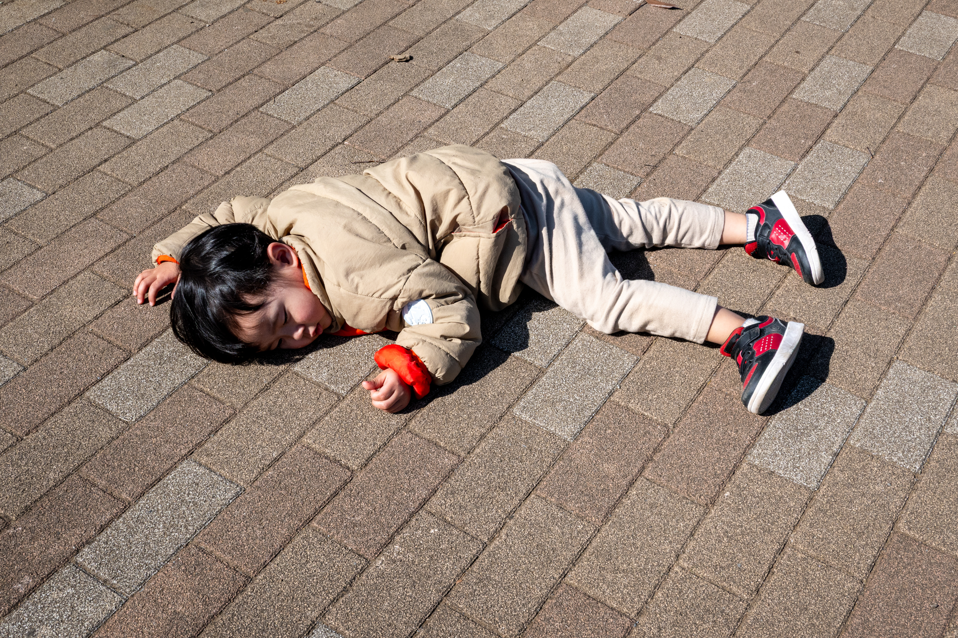 ふて寝（笑）。寝ていようが、横になっていようが、何事もなく顔認識しフォーカスします。Z50IIくんには当然のようです。<br><span class="fnt-85">ニコン Z50II／NIKKOR Z 24-70mm f/4 S／29.5mm（44mm相当）／プログラムAE（1/500秒、F13、−0.3EV）／ISO 400</span>