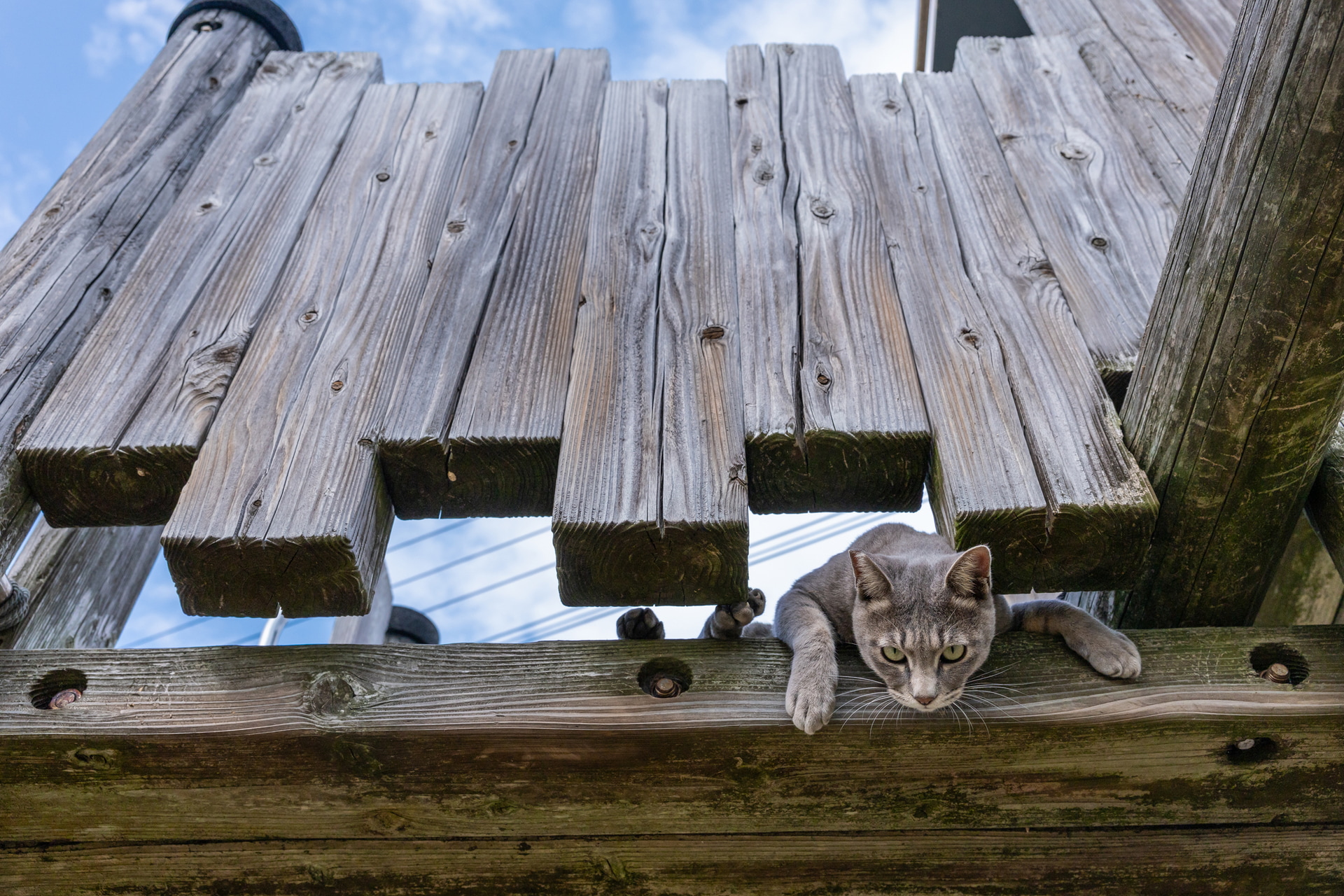 <span class="fnt-85">キヤノン EOS R6 Mark III／RF24-70mm F2.8 L IS USM／34mm／マニュアル露出（F7.1、1/1,000秒）／ISO 640／WB：オート</span>