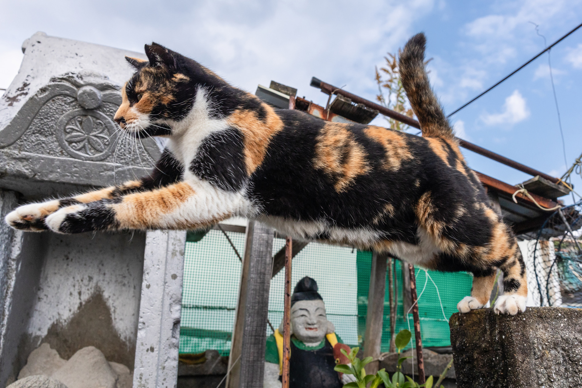 大漁祈願の恵比寿さまの前で軽やかにジャンプ。その姿を見守る恵比寿さまの顔も、ニンマリ顔に見えてくるから不思議だ<br><span class="fnt-85">キヤノン EOS R6 Mark III／RF24-70mm F2.8 L IS USM／24mm／マニュアル露出（F6.3、1/1,600秒）／ISO 800／WB：オート</span>