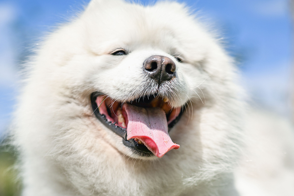 撮影イメージ（提供：映像嵐株式会社）