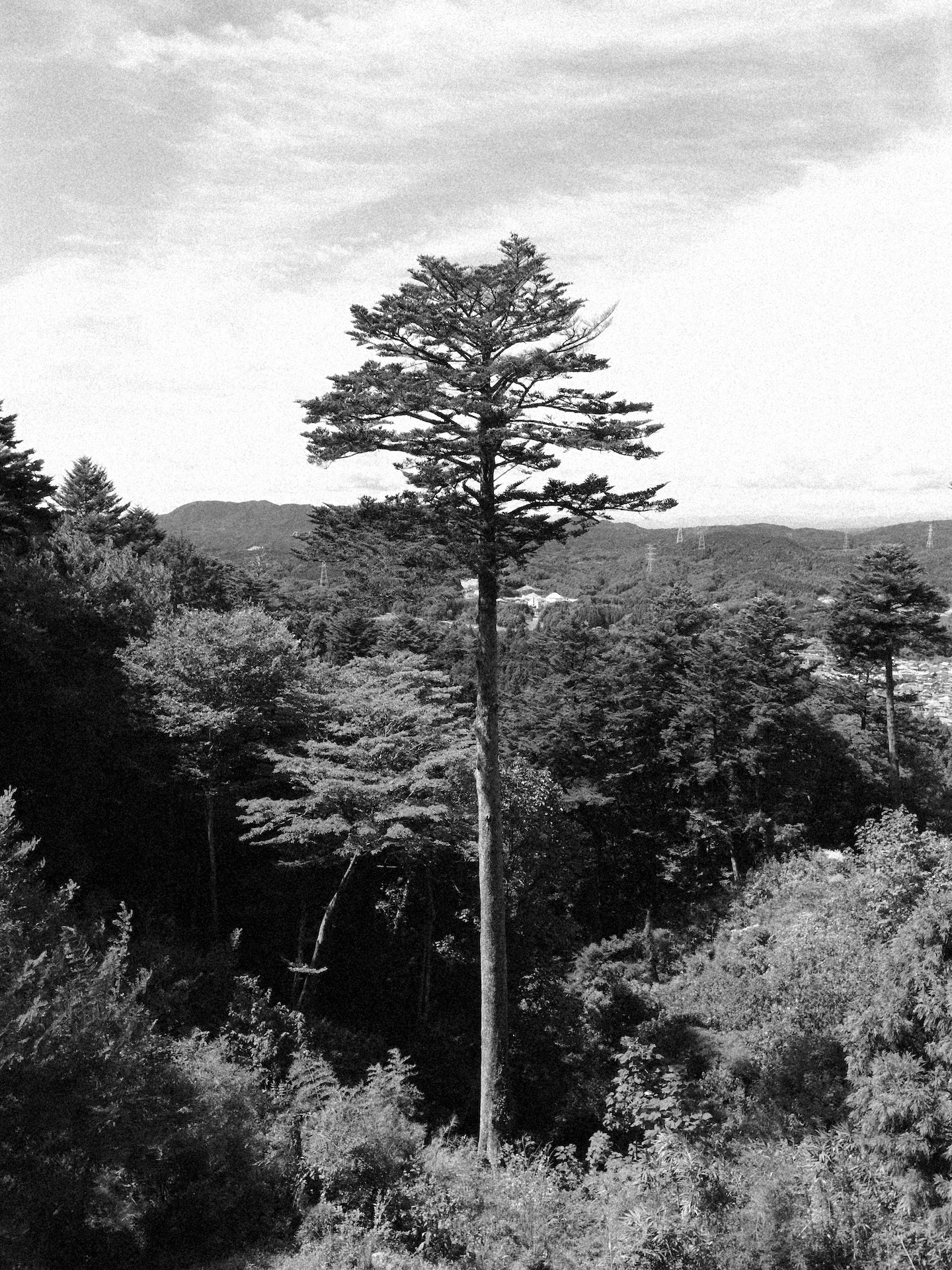 会社員時代の旅仲間と岐阜へ。背面モニターを何となく見ながら、思いつくままに片手でパチパチ撮りたくなる効能があります。<br>富士フイルム X half（X-HF1）／プログラムAE（1/680秒、F5、+0.7EV）／ISO 400／フィルムシミュレーション：ACROS