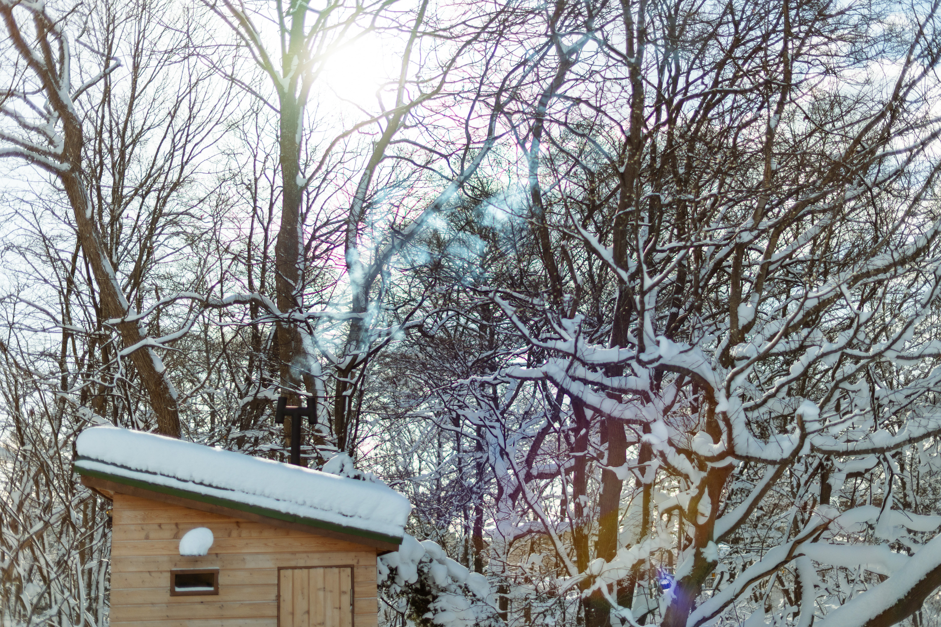 逆光で撮るとこの通り、ふわふわな描写となりますが、発生するゴーストも柔らかく上品なものになることが多いです。この描写をMFのサードパーティーレンズではなく、快適なAFを使いながらRFレンズで撮れることに大きな価値があると感じます<br>EOS R5 MarkII／RF45mm F1.2 STM／（1/20,000秒、F1.2）／ISO 100