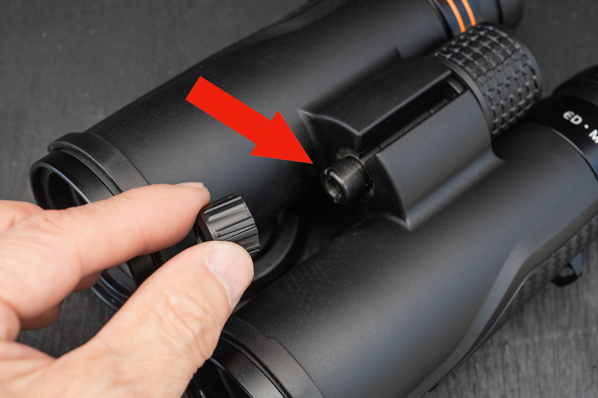 三脚に乗せるとじっくりと対象を観察できる