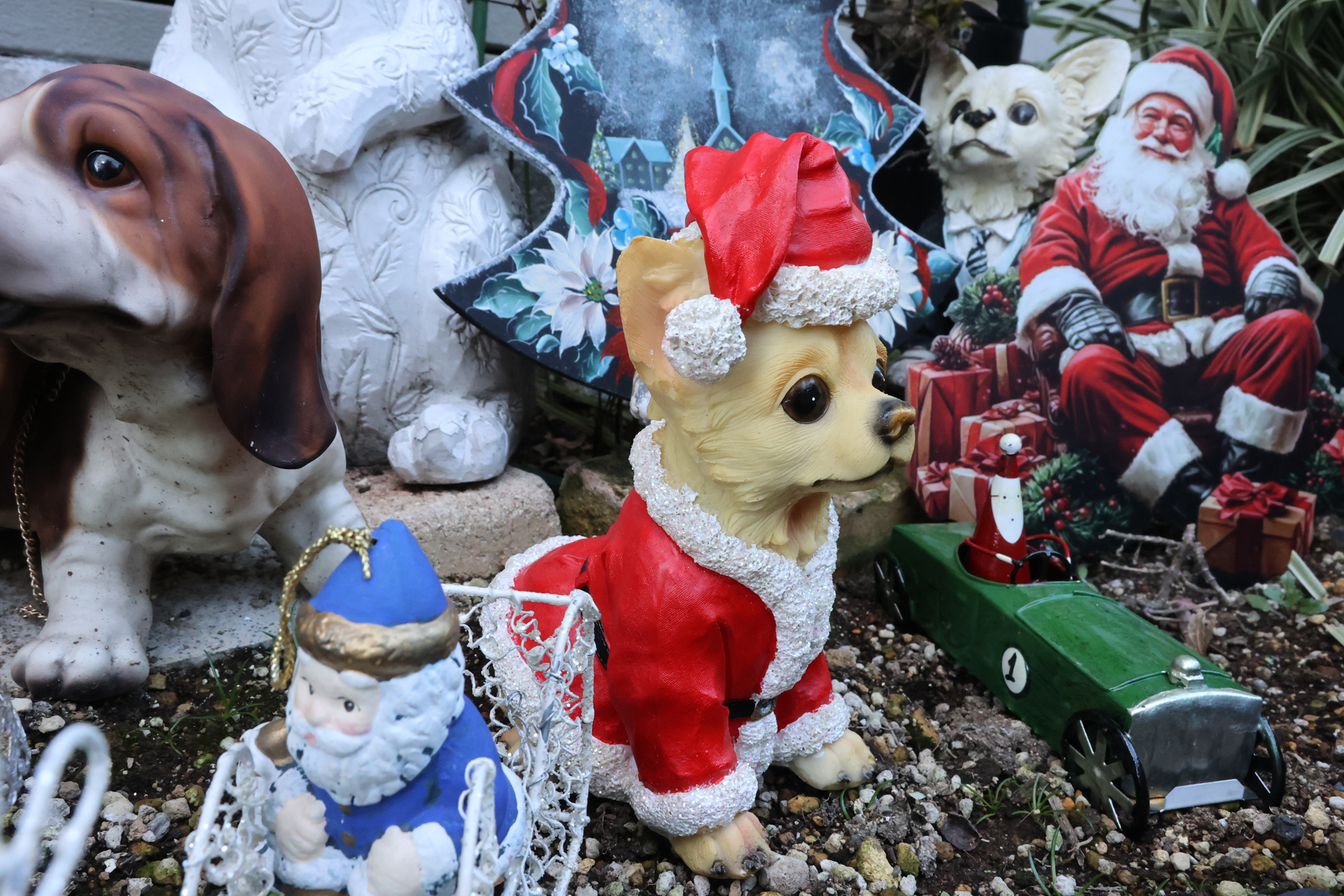 PowerShot V1／14.636mm／絞り優先AE（1/100秒、F10、±0.0EV）／ISO 1600