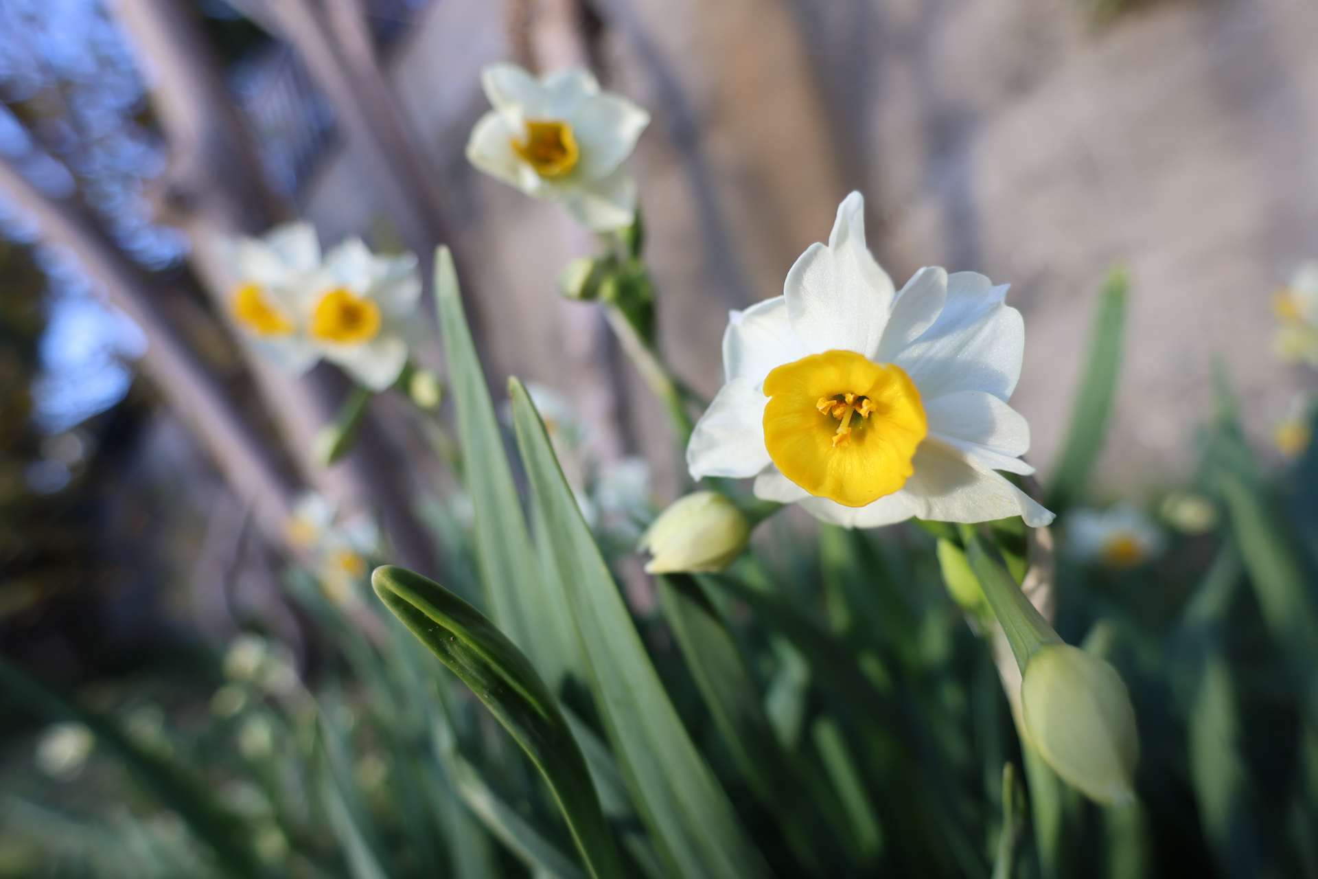 PowerShot V1／8.2mm／絞り優先AE（1/320秒、F2.8、＋0.3EV）／ISO 100