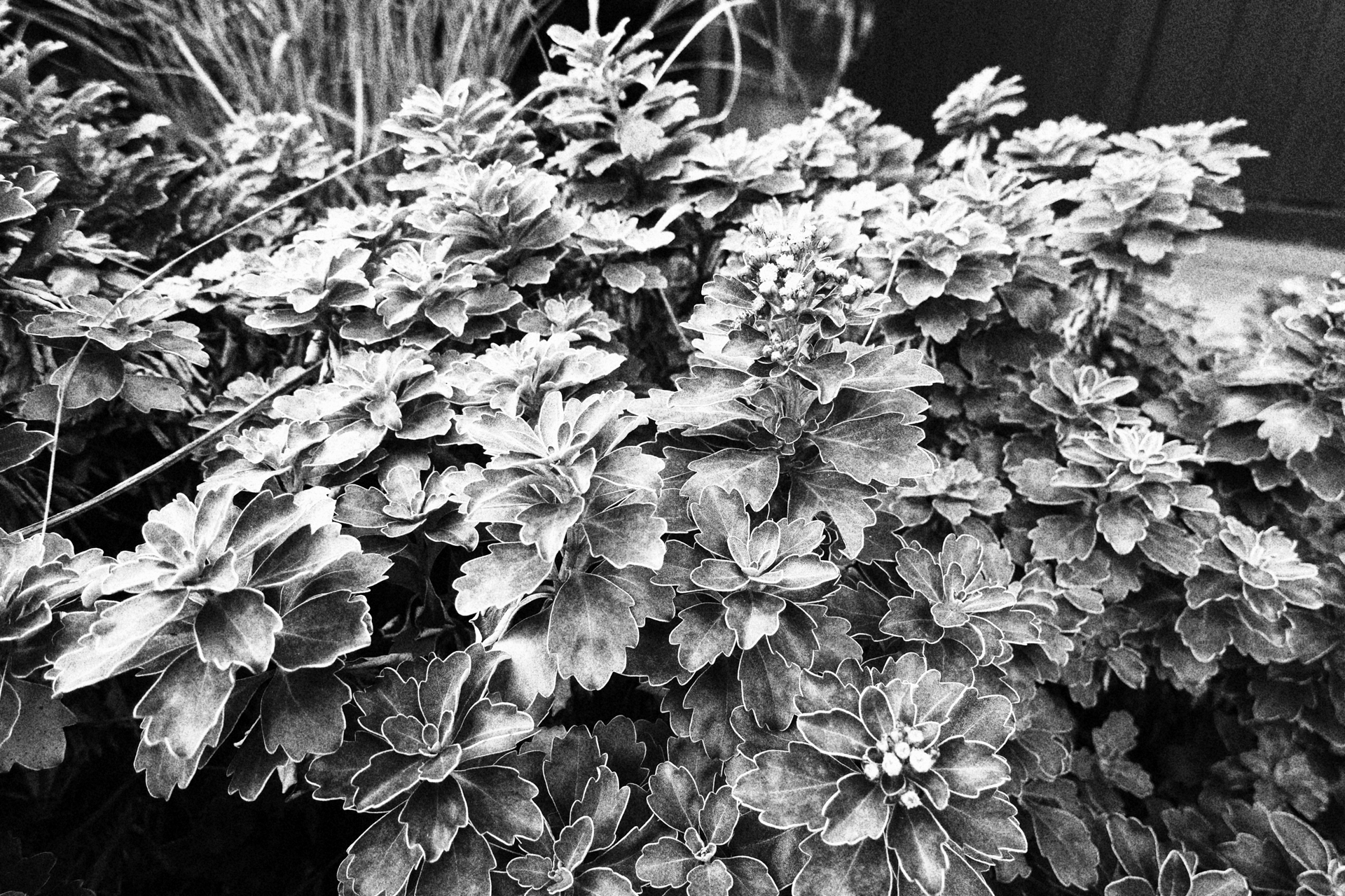 PowerShot V1／10.283mm／絞り優先AE（1/60秒、F3.2、±0.0EV）／ISO 125