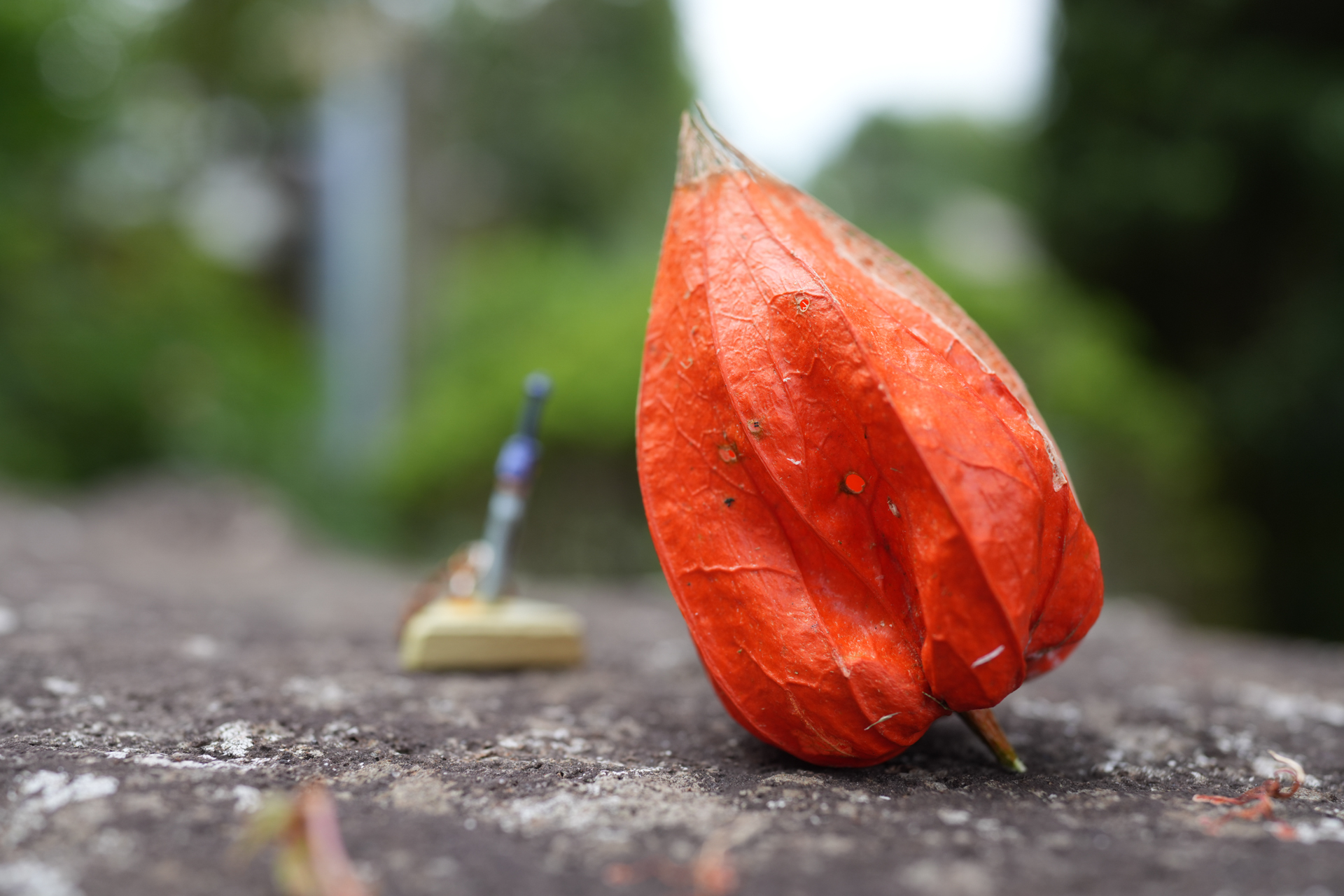 ソニー RX1R III／35mm／絞り優先AE（1/125秒、F4.0、−1.3EV）／ISO 400