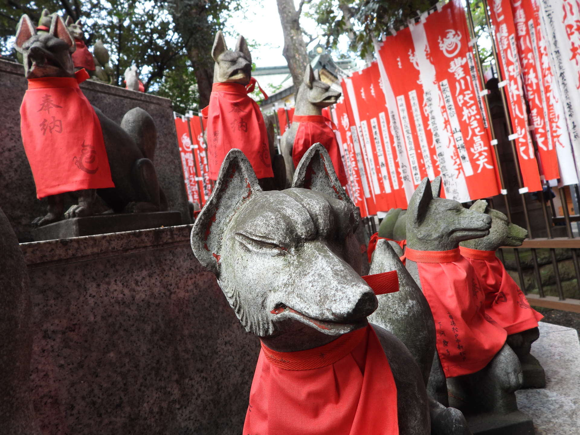 ニコン COOLPIX P1100／4.3mm相当（24mm相当）／プログラムAE（1/80秒、F2.8、±0.0EV）／ISO 100