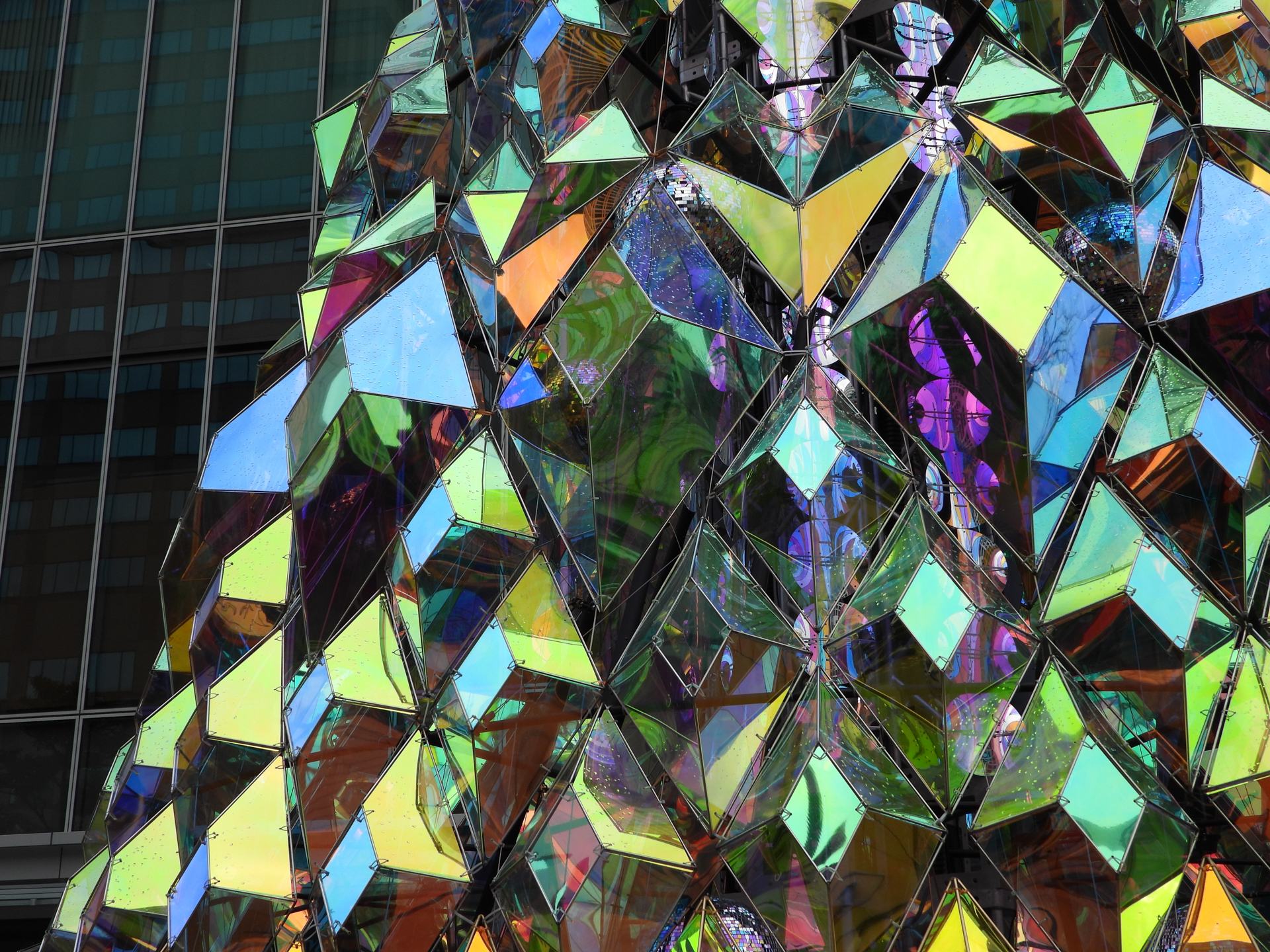 ニコン COOLPIX P1100／7.9mm相当（44mm相当）／プログラムAE（1/800秒、F3.2、＋0.7EV）／ISO 100