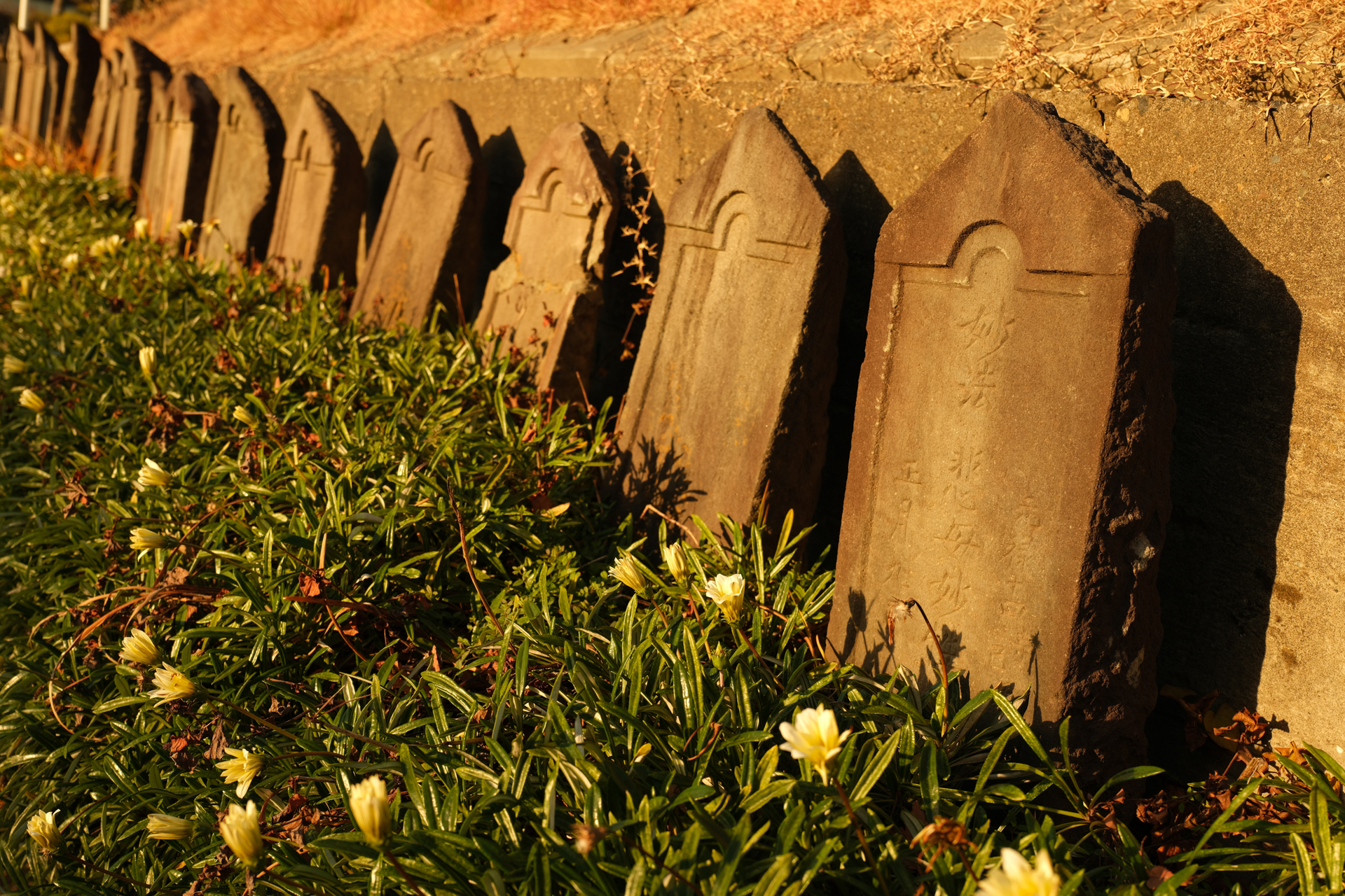 富士フイルム GFX100RF／35mm（28mm相当）／絞り優先AE（1/125秒、F5.6、−0.7EV）／ISO 80