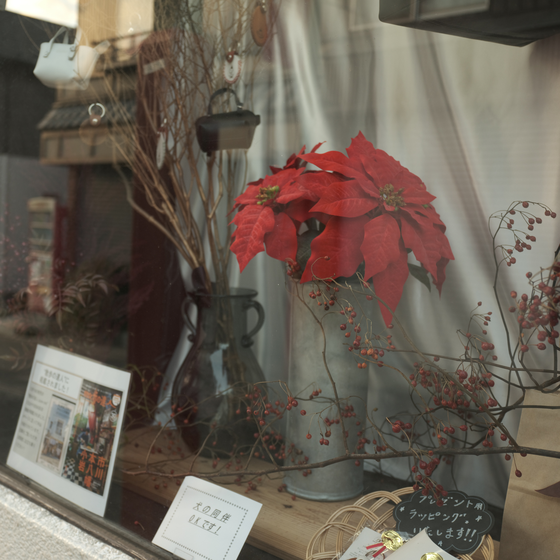 富士フイルム GFX100RF／35mm（28mm相当）／絞り優先AE（1/125秒、F4.0、−0.3EV）／ISO 400